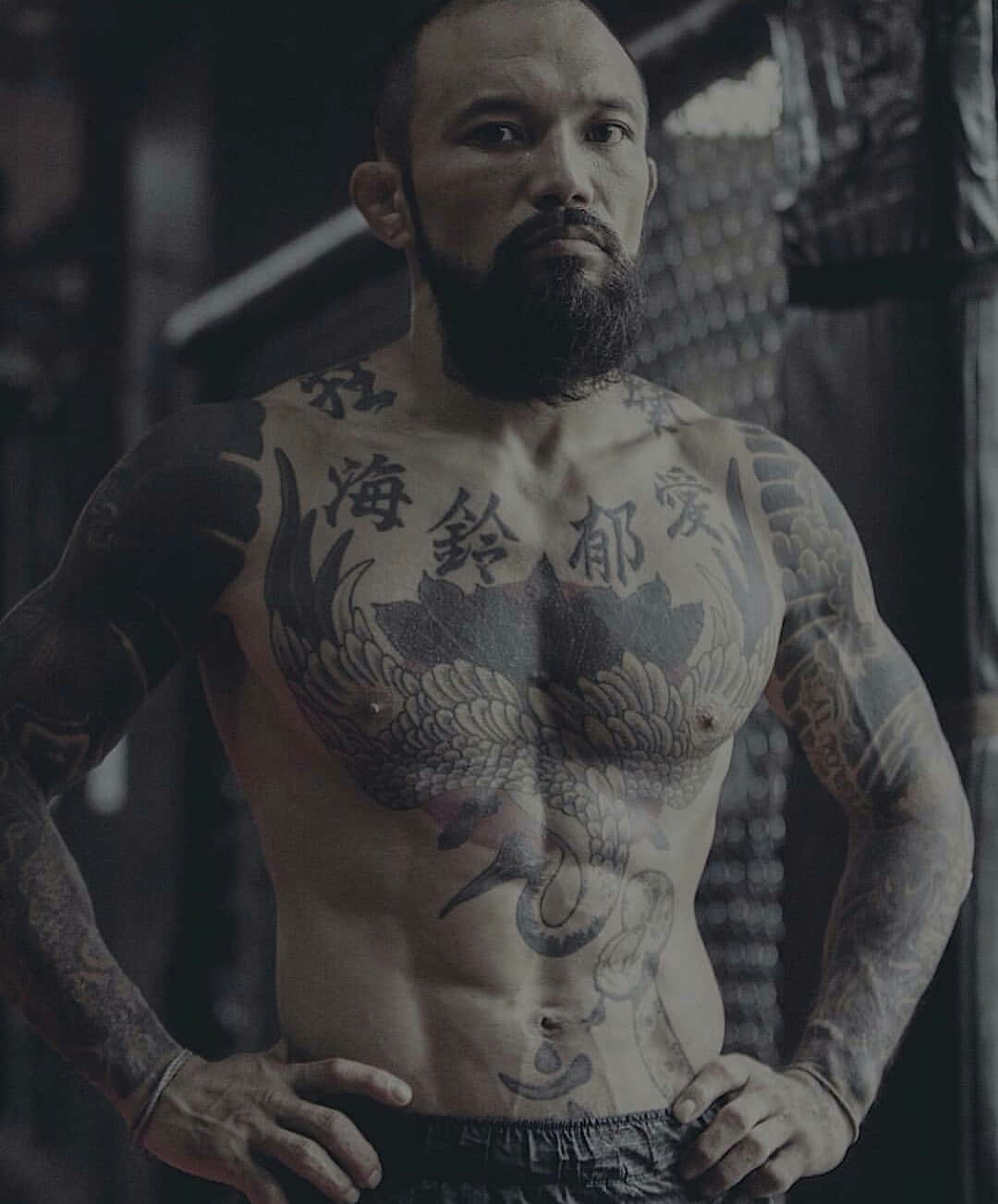MMA 桌布 壁紙 — 一個肌肉發達、留鬍子且有大面積刺青的男人自信地站在燈光昏暗的健身房裡。