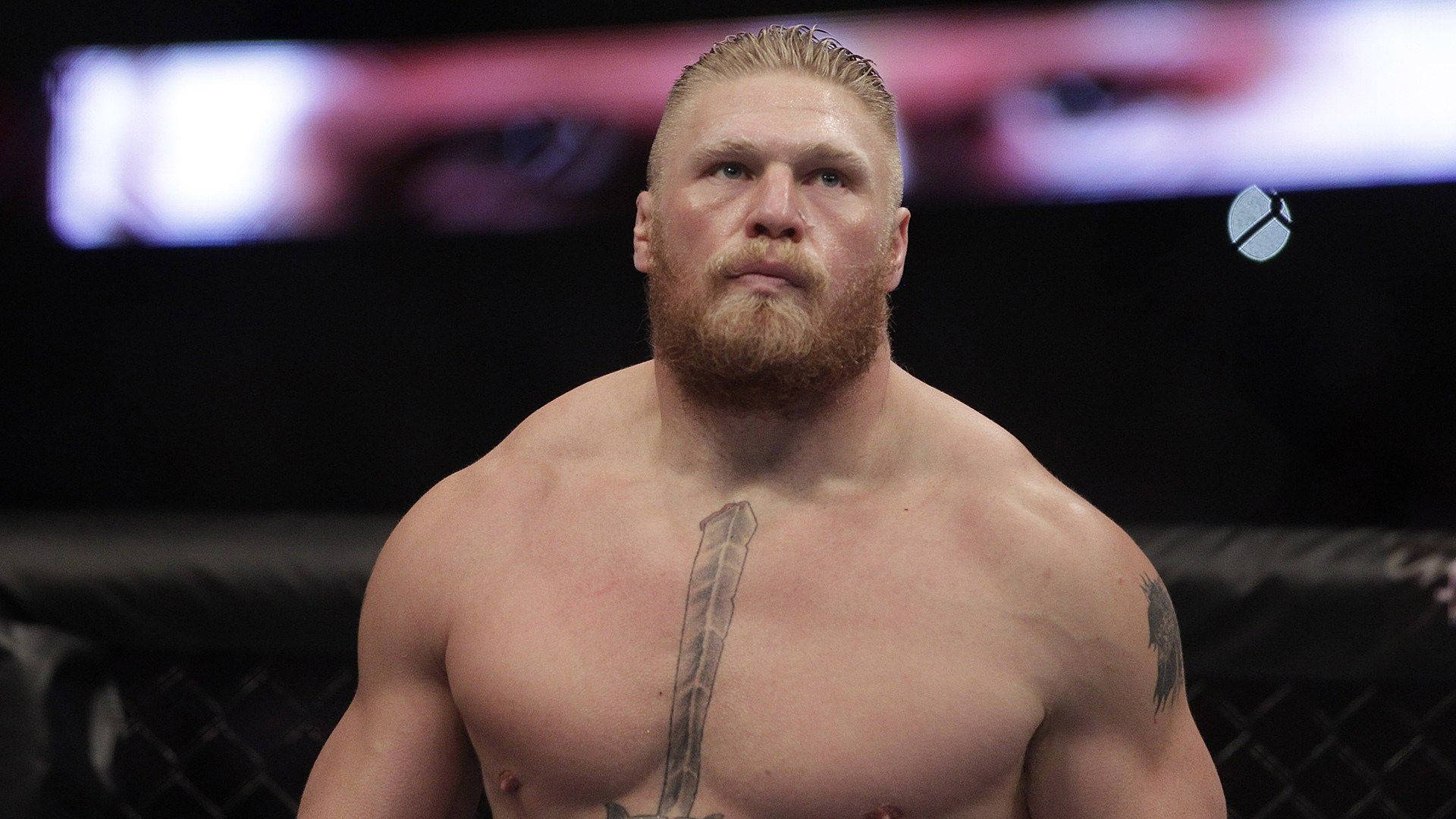 UFC 桌布 壁紙 — 一個肌肉發達、留鬍子的戰士，身上有劍紋身，在昏暗的MMA八角籠內凝視著。