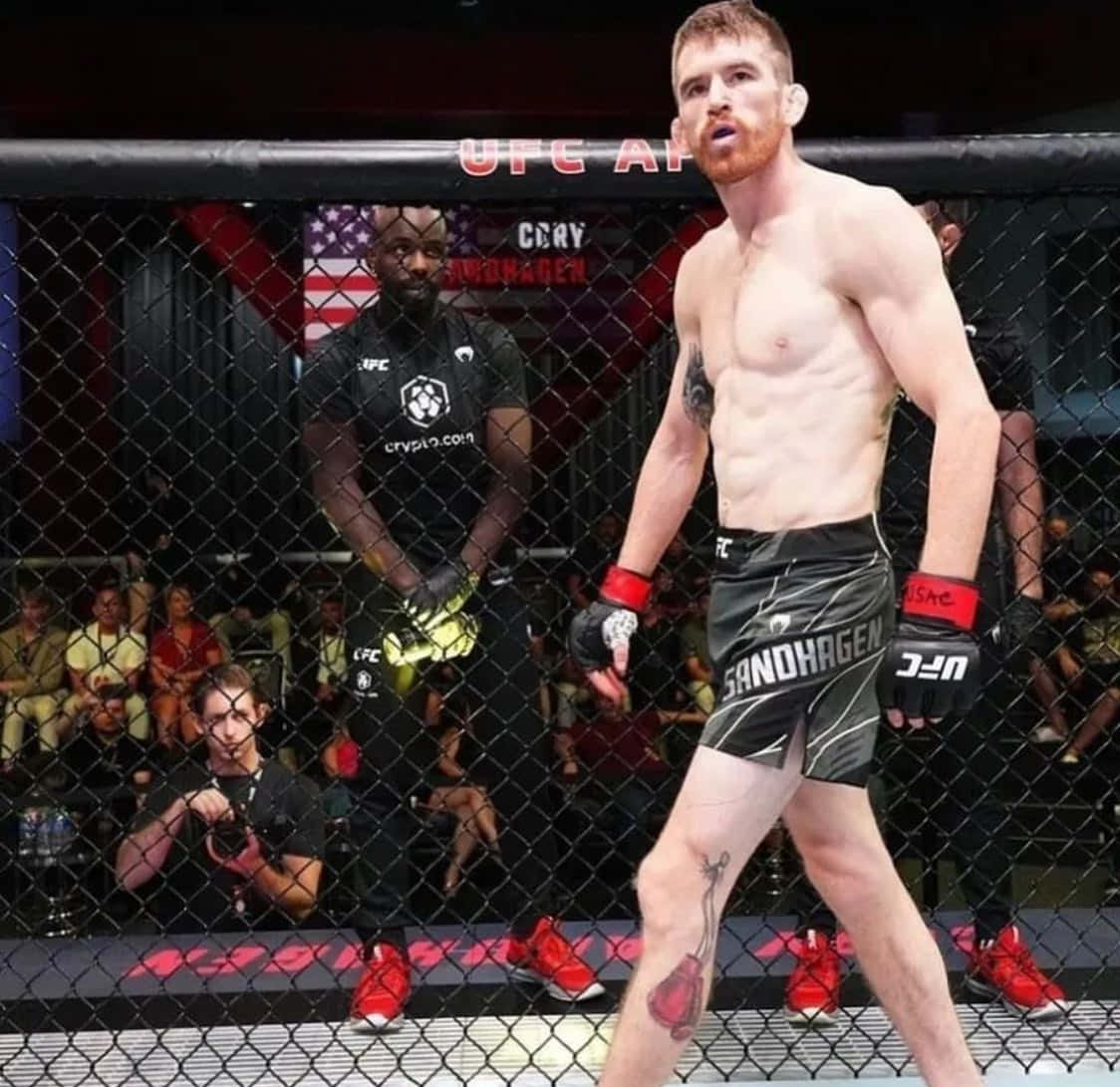 MMA 桌布 壁紙 — 一個肌肉發達、紅髮鬍鬚的戰士站在UFC八角籠內，穿著黑色短褲和紅色手套。