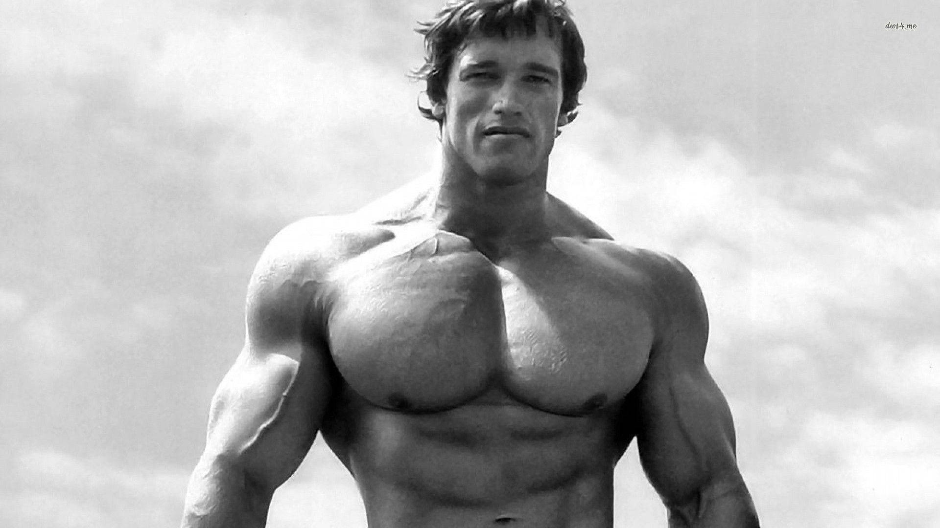 Arnold 桌布 壁紙 — 一個肌肉發達、腹肌和肩膀線條分明的男人，站在多雲的天空下的黑白肖像。