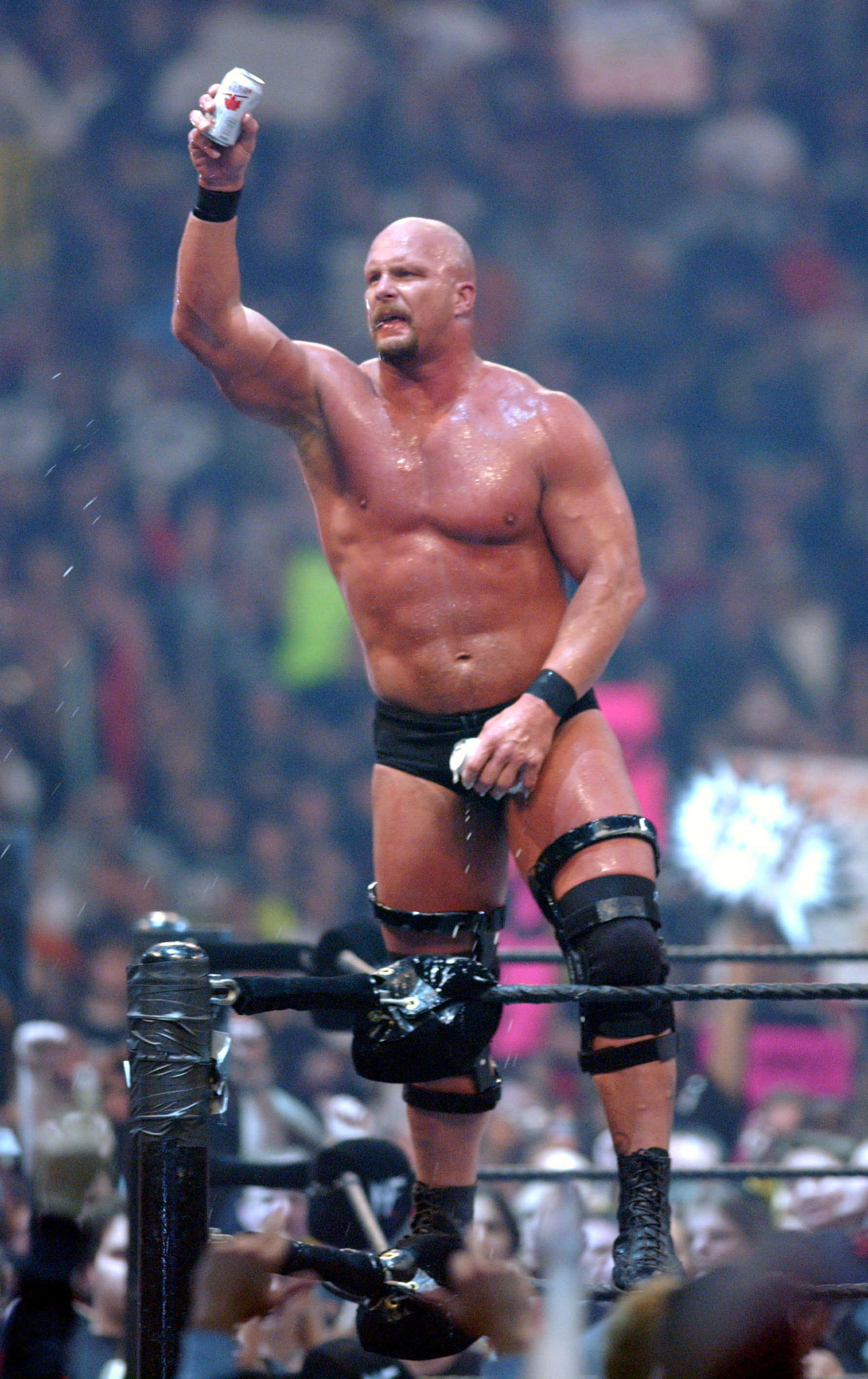 Steve Austin 桌布 壁紙 — 一個肌肉發達的光頭摔角手穿著黑色三角褲，站在摔角場的角柱上，高舉一個罐頭，觀眾歡呼。