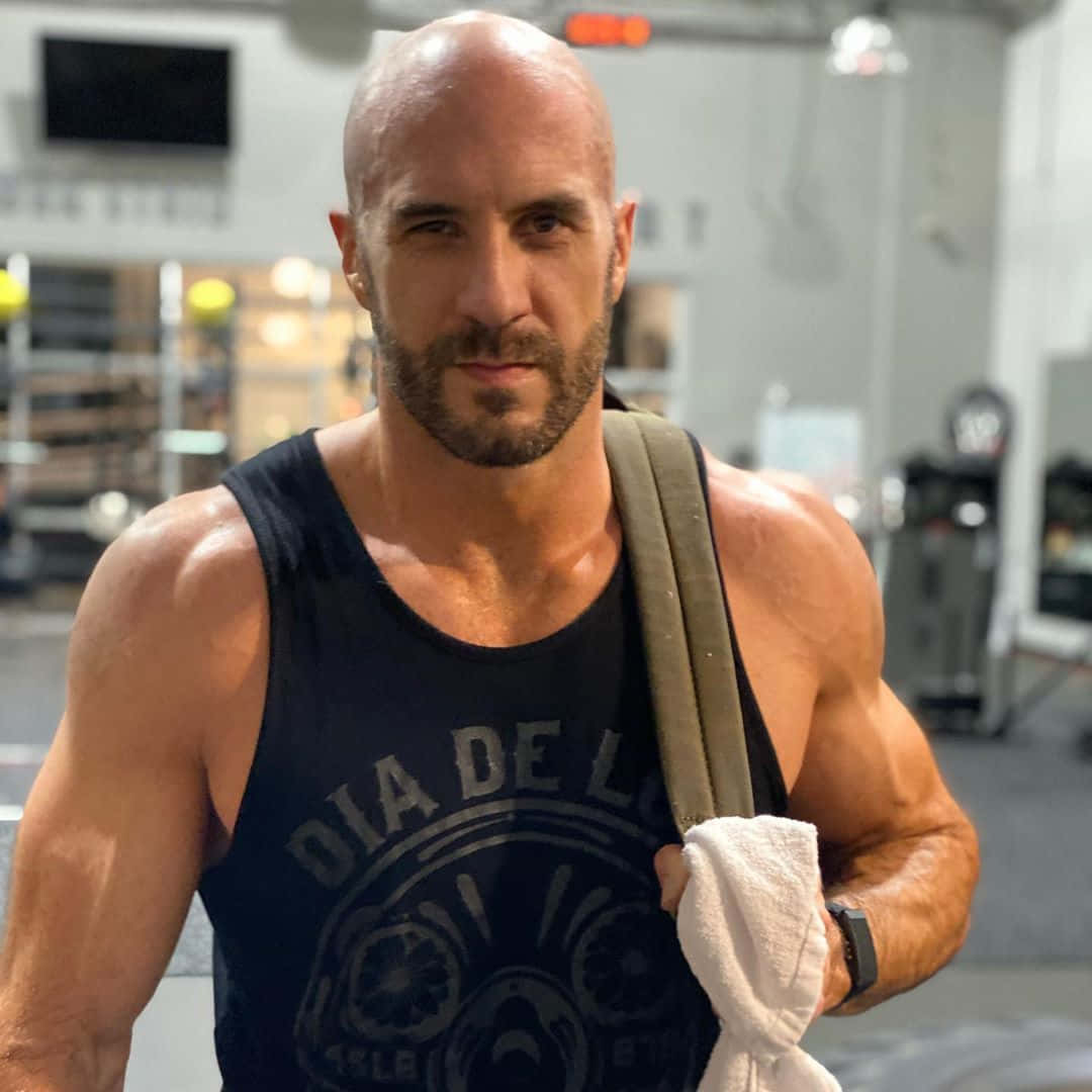 Workout 桌布 壁紙 — 一個肌肉發達的光頭鬍鬚男在健身房裡，肩上搭著毛巾，凝視著鏡頭。
