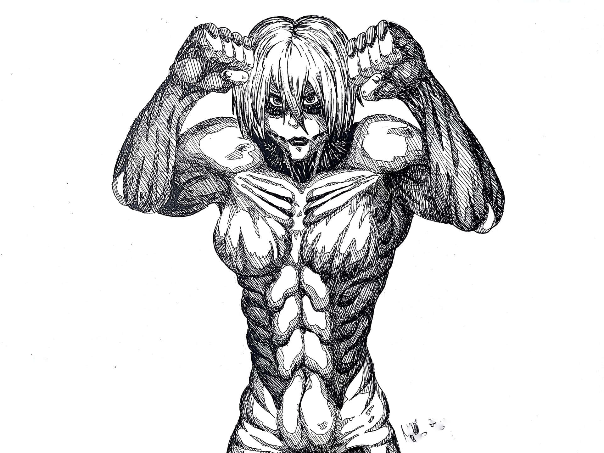 Female Titan 桌布 壁紙 — 一個肌肉發達的動漫角色，短髮，在純白背景上以詳細的黑色墨水素描強烈地展示肌肉。