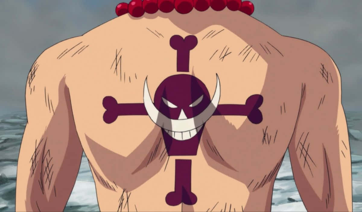 One Piece Ace's Death 桌布 壁紙 — 一個肌肉發達的動漫角色，背上有一個骷髏頭和交叉骨紋身，站在暴風雨海洋的背景前。