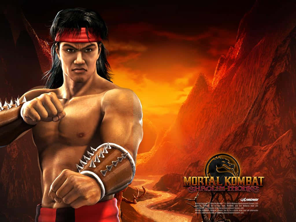 Mortal Kombat Liu Kang 桌布 壁紙 — 一個肌肉發達的戰士，戴著紅色頭帶和帶刺的護臂，在日落時分的火熱峽谷中準備就緒。