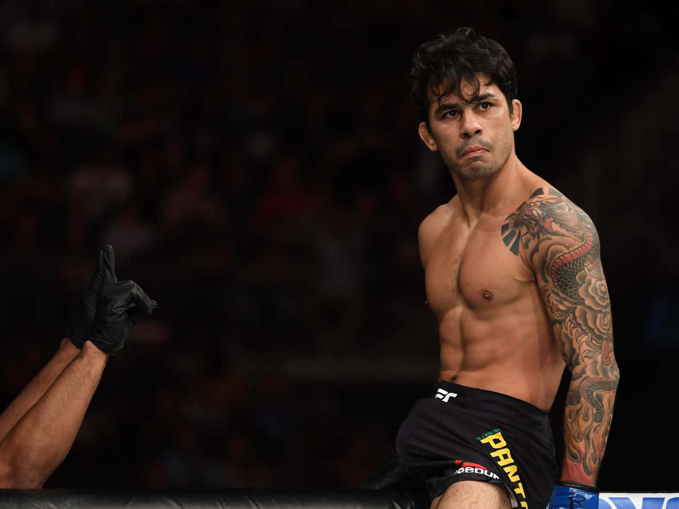 UFC 桌布 壁紙 — 一個肌肉發達的戰士，手臂上有龍紋身，坐在擂台上，表情專注，一隻戴著手套的手指著他。