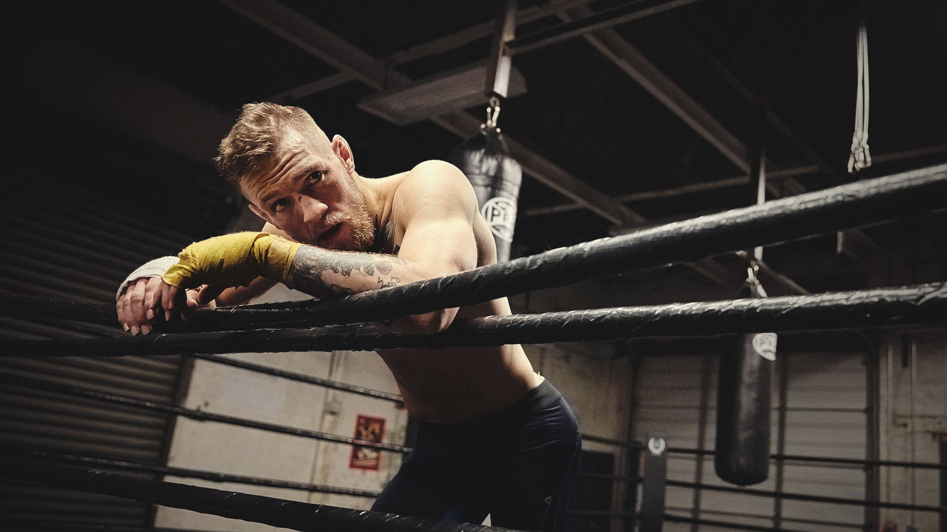 Mcgregor 桌布 壁紙 — 一個肌肉發達的拳擊手戴著黃色手套，在簡陋的健身房裡激烈地靠在拳擊台的繩索上。