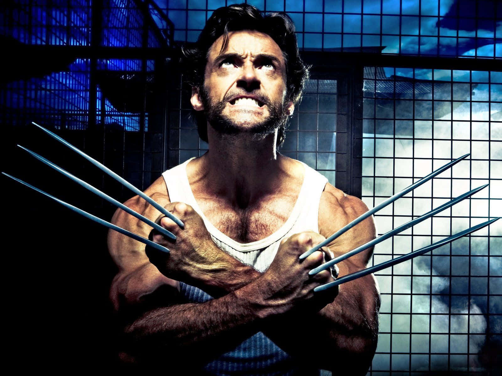 Adamantium 桌布 壁紙 — 一個肌肉發達的男人伸出爪子，在戲劇性燈光下，對著藍色網格背景向上凝視。