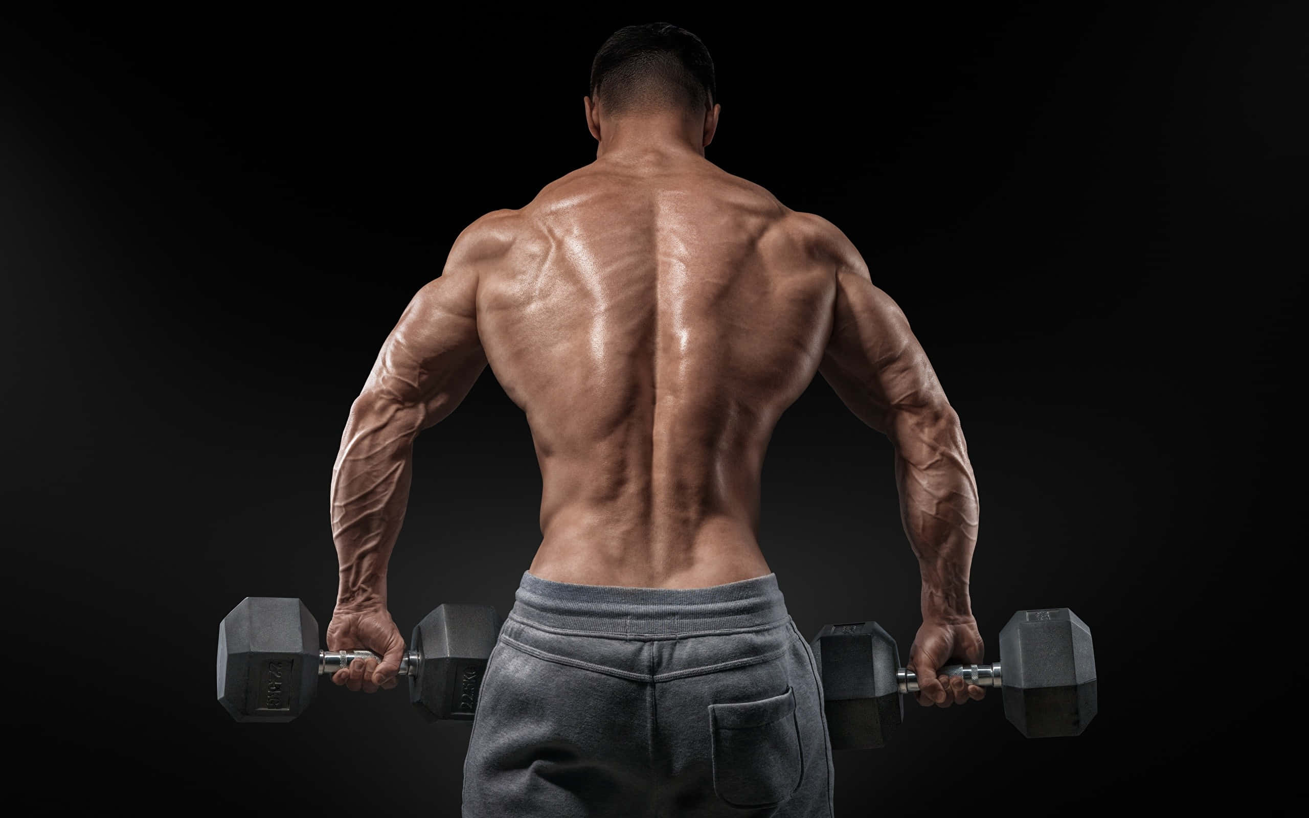 Muscle 桌布 壁紙 — 一個肌肉發達的男人從背後抓住啞鈴，背部和手臂線條分明，背景為黑色。