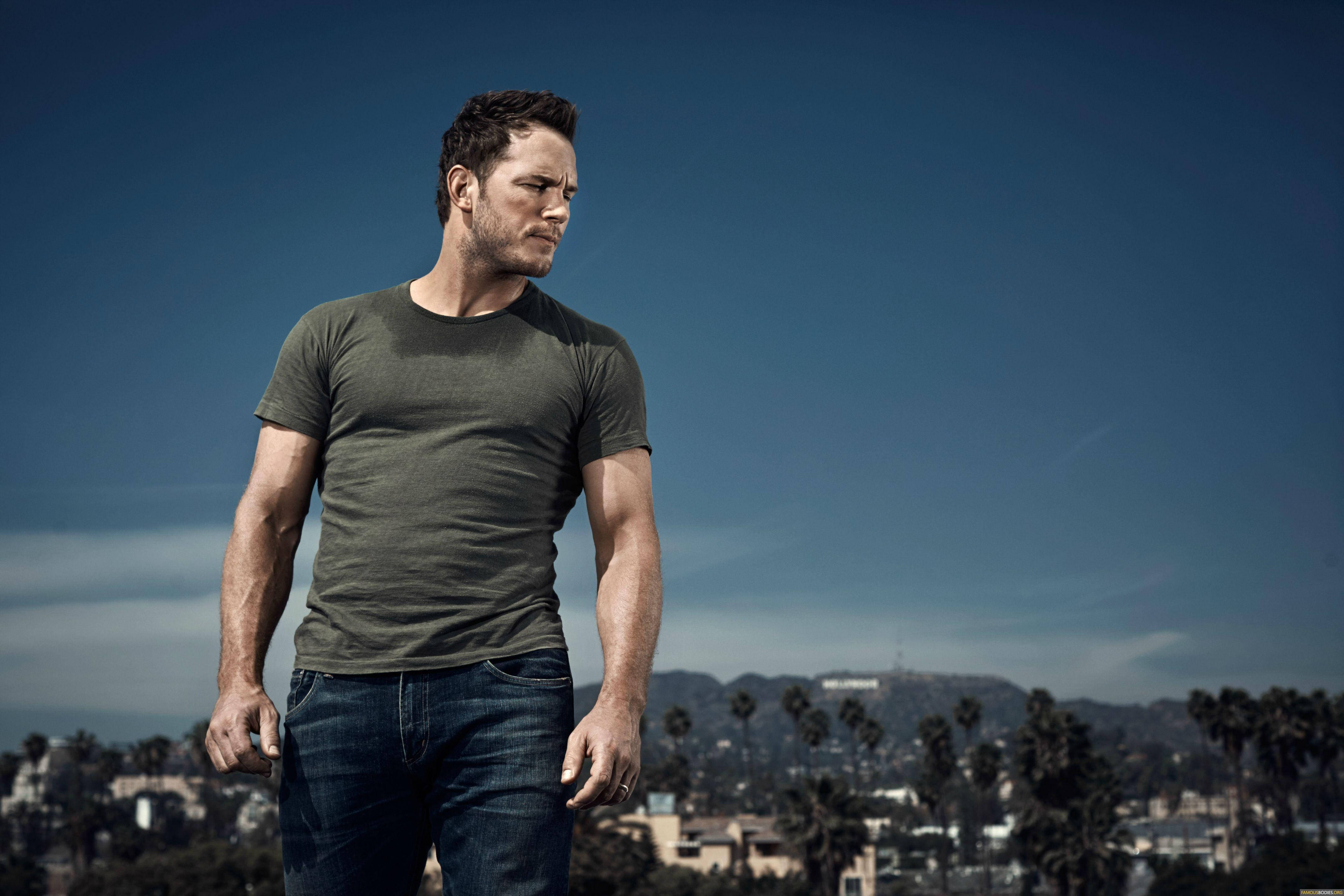 Chris Pratt 桌布 壁紙 — 一個肌肉發達的男人穿著綠色T恤，在晴朗的藍天下自信地站立，俯瞰著棕櫚樹點綴的城市景觀。