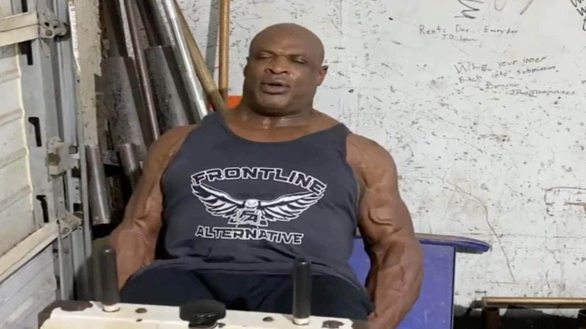 運動 桌布 壁紙 — 一個肌肉發達的男人穿著背心坐在健身房，周圍是啞鈴和牆上激勵人心的塗鴉。