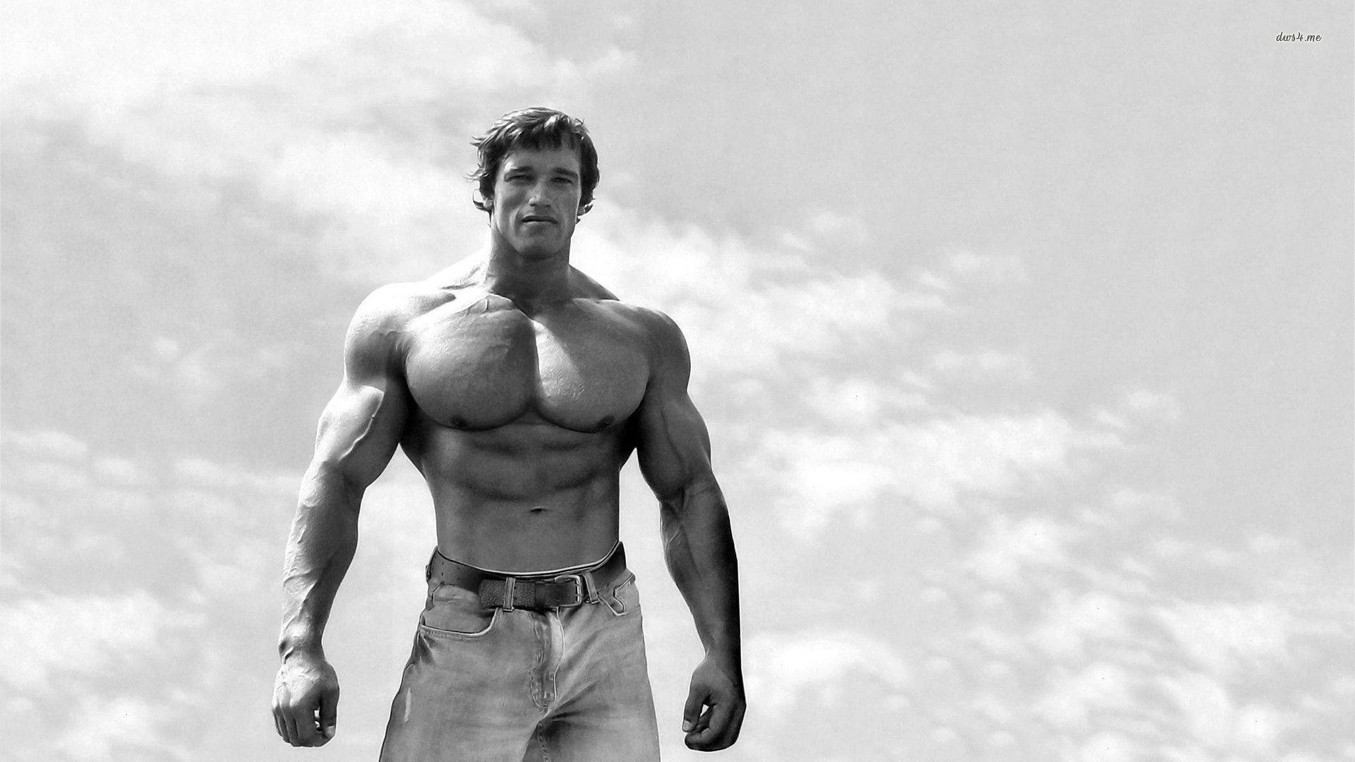 Arnold 桌布 壁紙 — 一個肌肉發達的男人赤膊站在多雲的天空下，以單色展示清晰的體格。