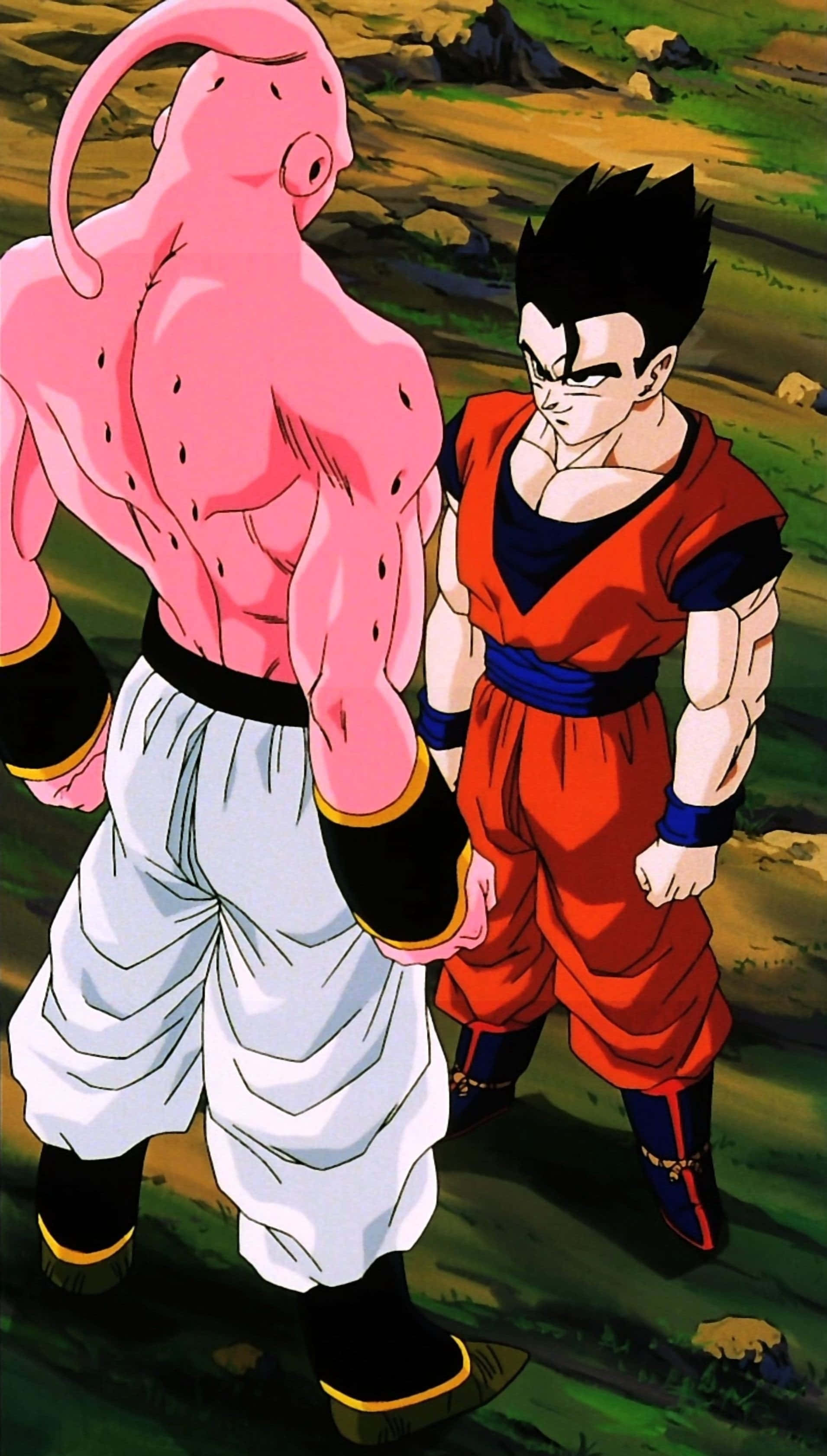 Buu Saga 桌布 壁紙 — 一個肌肉發達的粉紅色那美克星人和一個堅定的賽亞人戰士在明亮的日光下，於一個長滿草的戶外競技場中對峙。