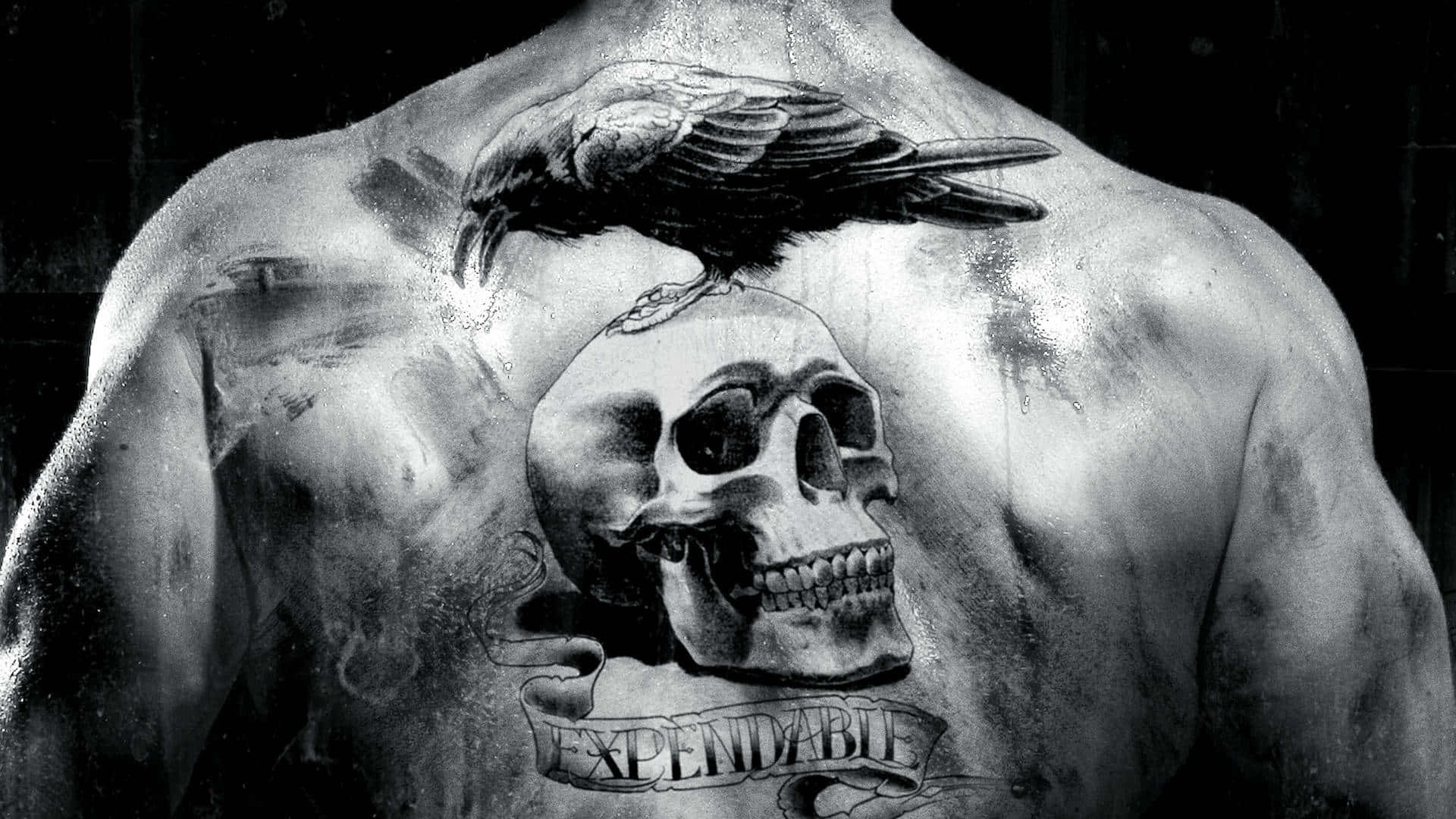 Halloween Tattoos 桌布 壁紙 — 一個肌肉發達的背部展示了一個詳細的刺青，圖案為一隻烏鴉棲息在頭骨上，下方有「expendable」這個詞。