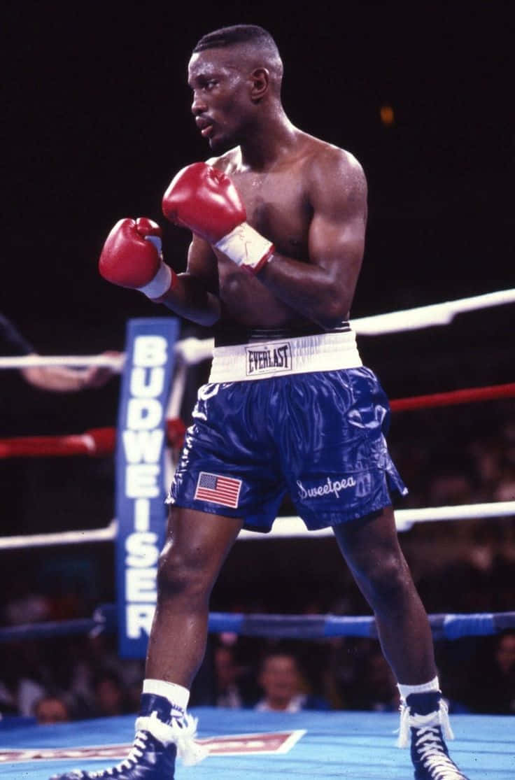 Boxing 桌布 壁紙 — 一個肌肉發達的黑人拳擊手，戴著紅色手套和藍色短褲，在燈光明亮的擂台上警覺地站立，身後有Budweiser標誌。