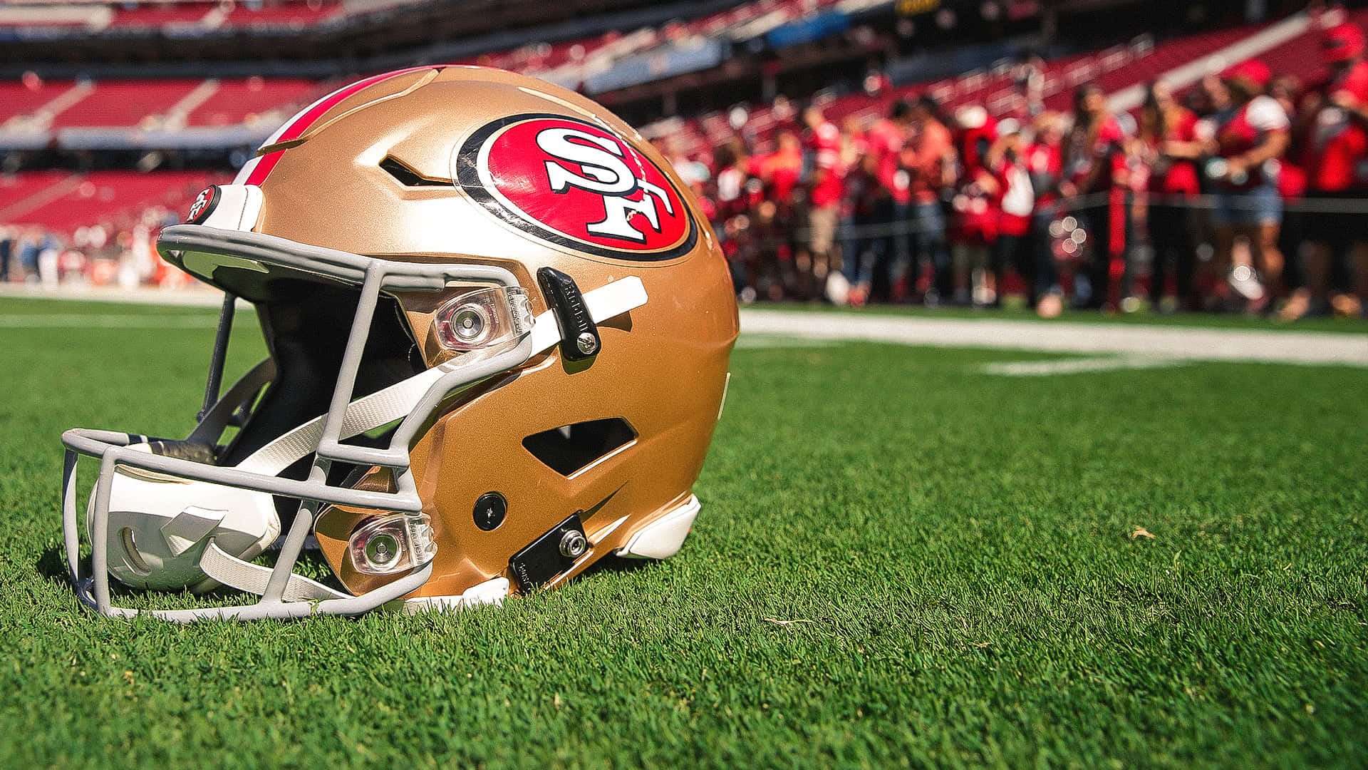 49ers 桌布 壁紙 — 一個舊金山四九人隊的美式足球頭盔放在充滿活力的綠色草地上，後面有模糊的紅色座位上的球迷。
