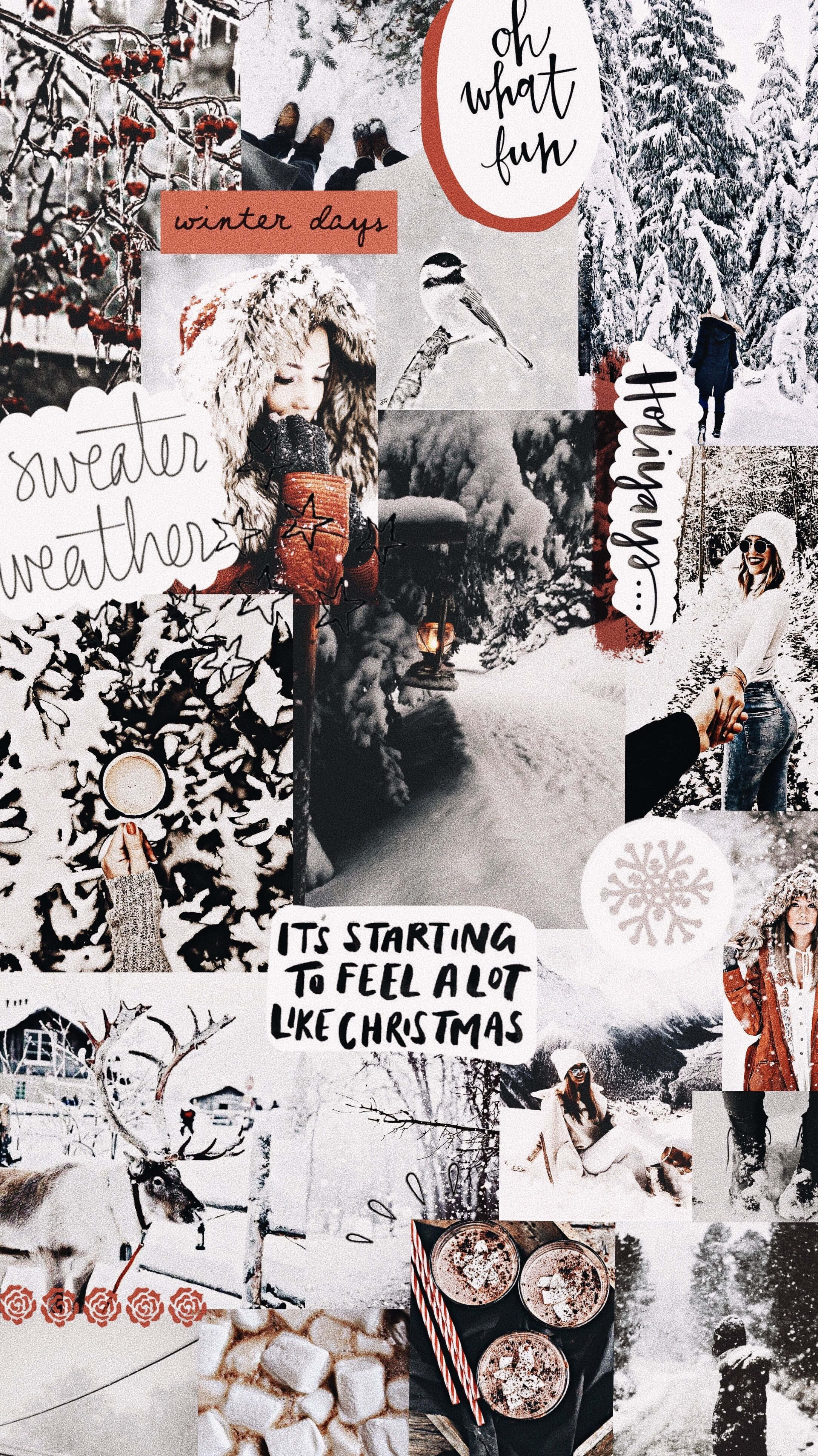 美學 桌布 壁紙 — 一個舒適的冬季拼貼畫，包含雪景、穿著毛衣的人們、熱可可和節日文字疊加。