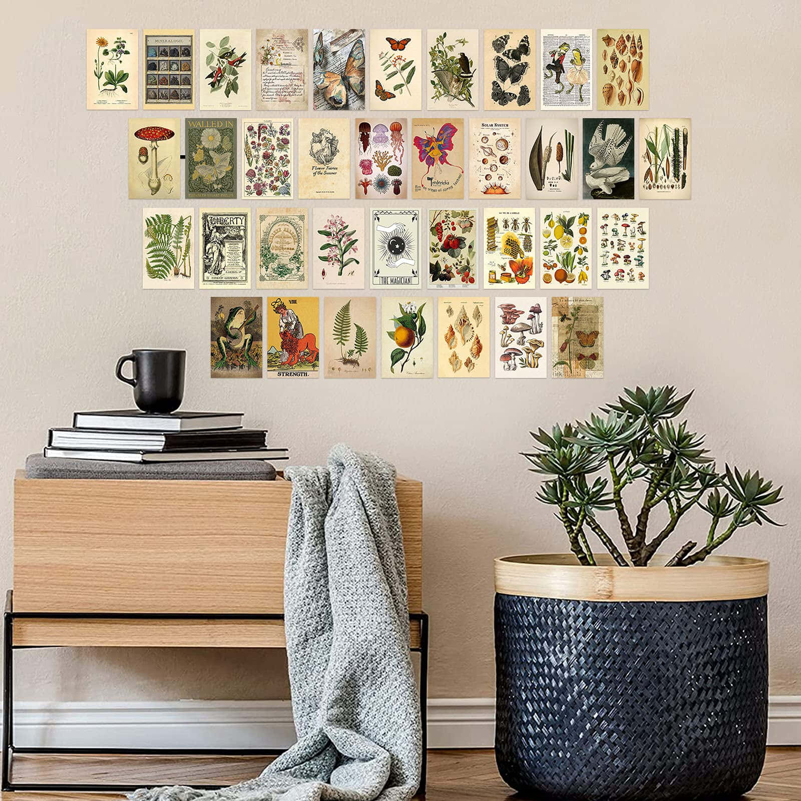 Wall Collage 桌布 壁紙 — 一個舒適的房間，牆上掛著復古植物插圖，下方是木製邊桌，桌上放著書籍和馬克杯，旁邊有一盆多肉植物。