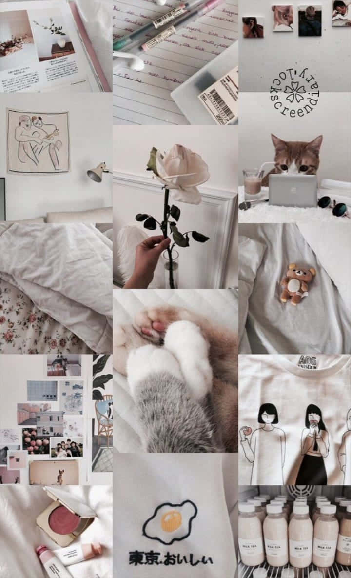 White Aesthetic Collage 桌布 壁紙 — 一個舒適的拼貼畫，包含手寫筆記、一隻使用筆記型電腦的貓、柔軟的寢具和柔和粉彩的花卉圖案。