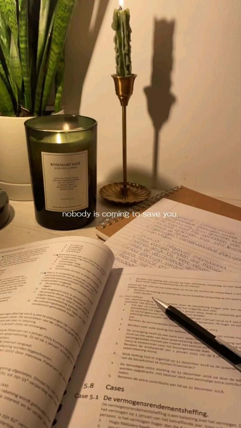 Studying 桌布 壁紙 — 一個舒適的書桌場景，有打開的書本、筆、蠟燭和多肉植物，在溫暖的燈光下。
