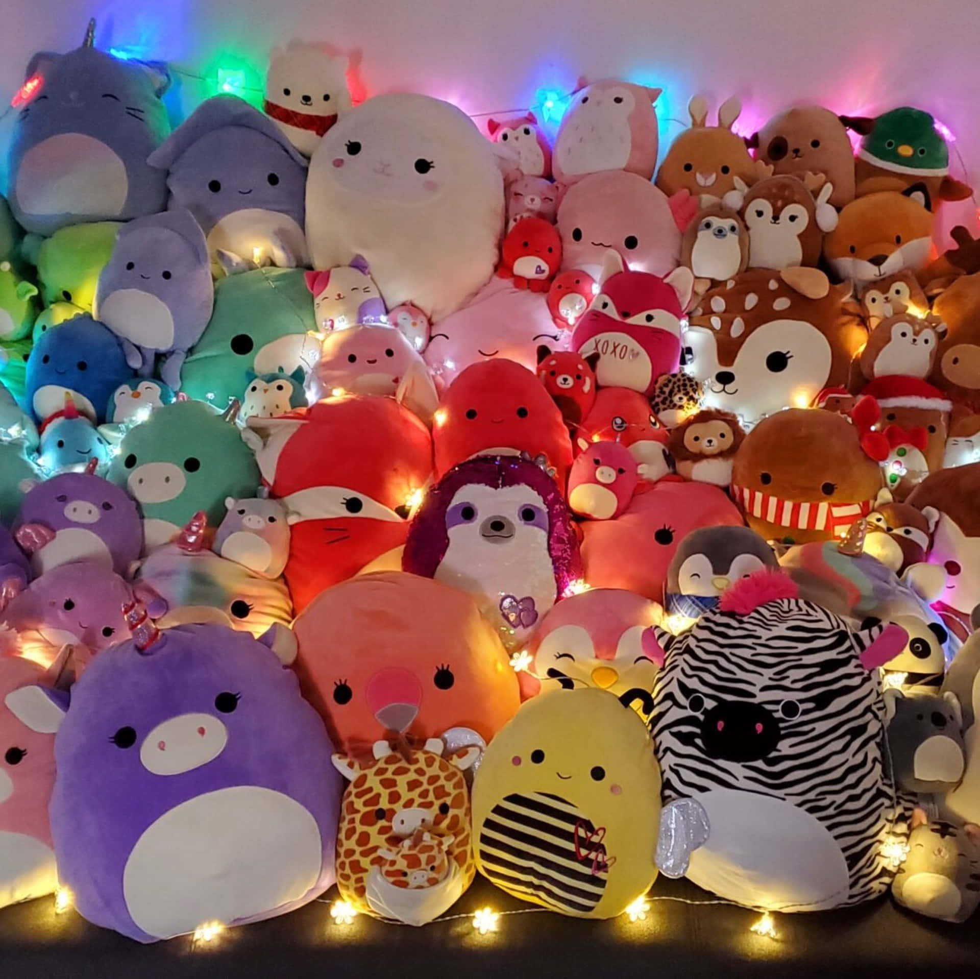色彩繽紛的毛絨玩具牆，由溫暖的仙女燈和彩虹串燈照亮。 — Squishmallows 壁紙