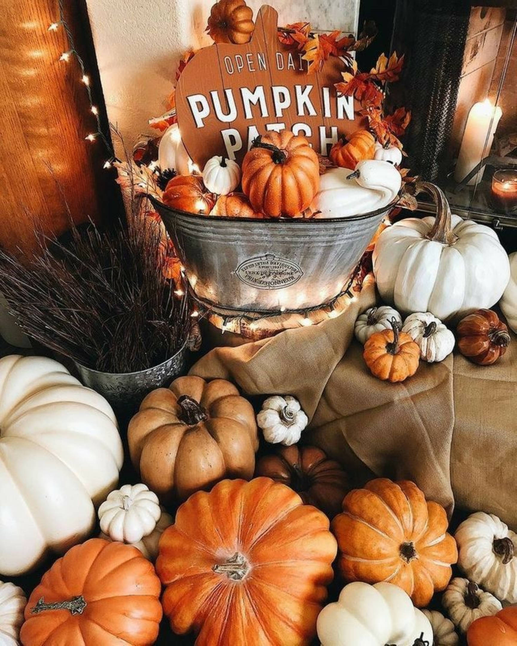 Halloween Aesthetic 桌布 壁紙 — 一個舒適的秋季展示，橙色和白色的南瓜放在一個質樸的金屬桶中，帶有「Pumpkin Patch」標誌和溫暖的串燈。