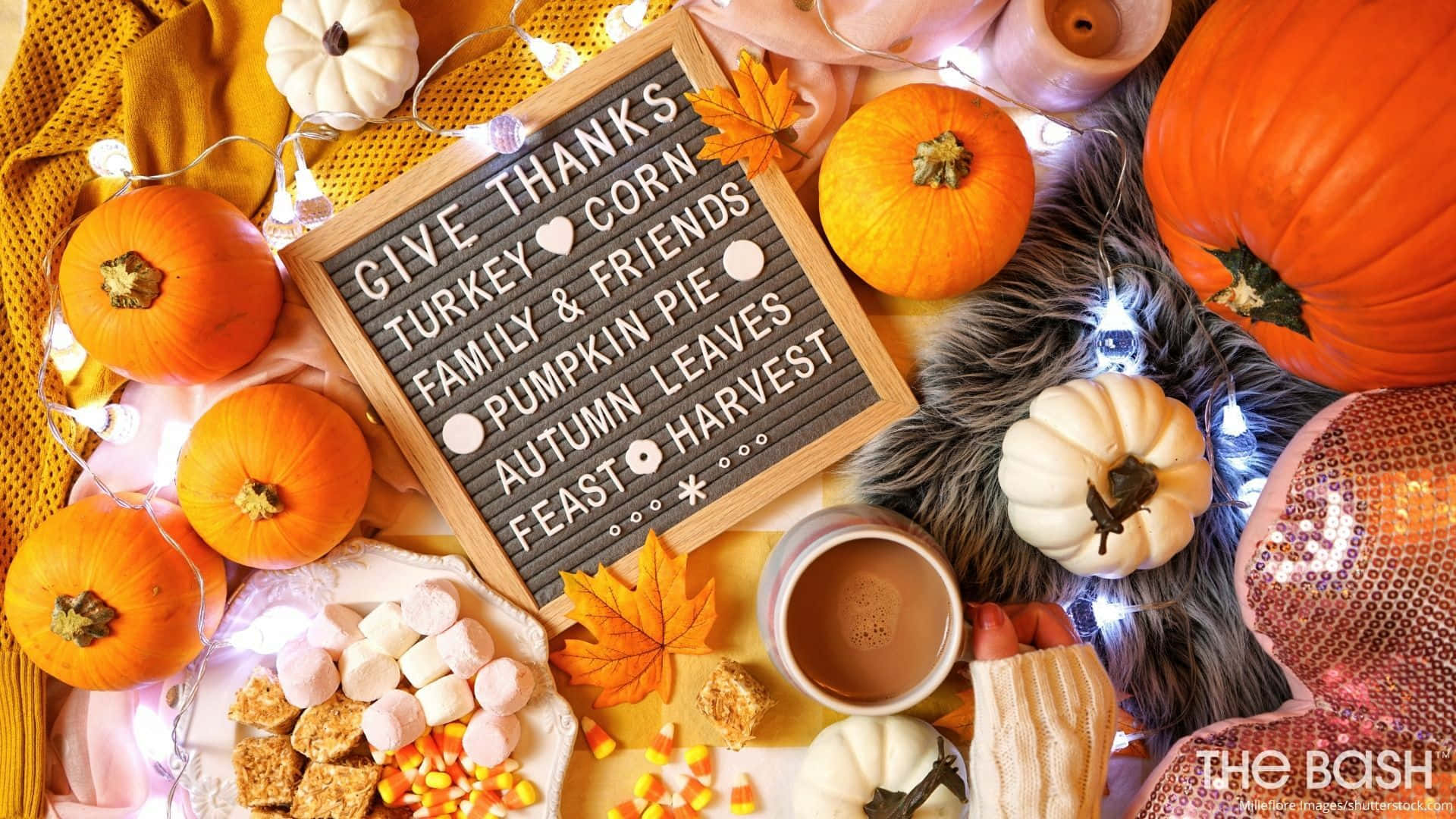 Fall Thanksgiving 桌布 壁紙 — 一個舒適的秋季平鋪構圖，包含南瓜、棉花糖和一個寫著 give thanks 的字板，周圍環繞著溫暖的燈光和秋季裝飾。