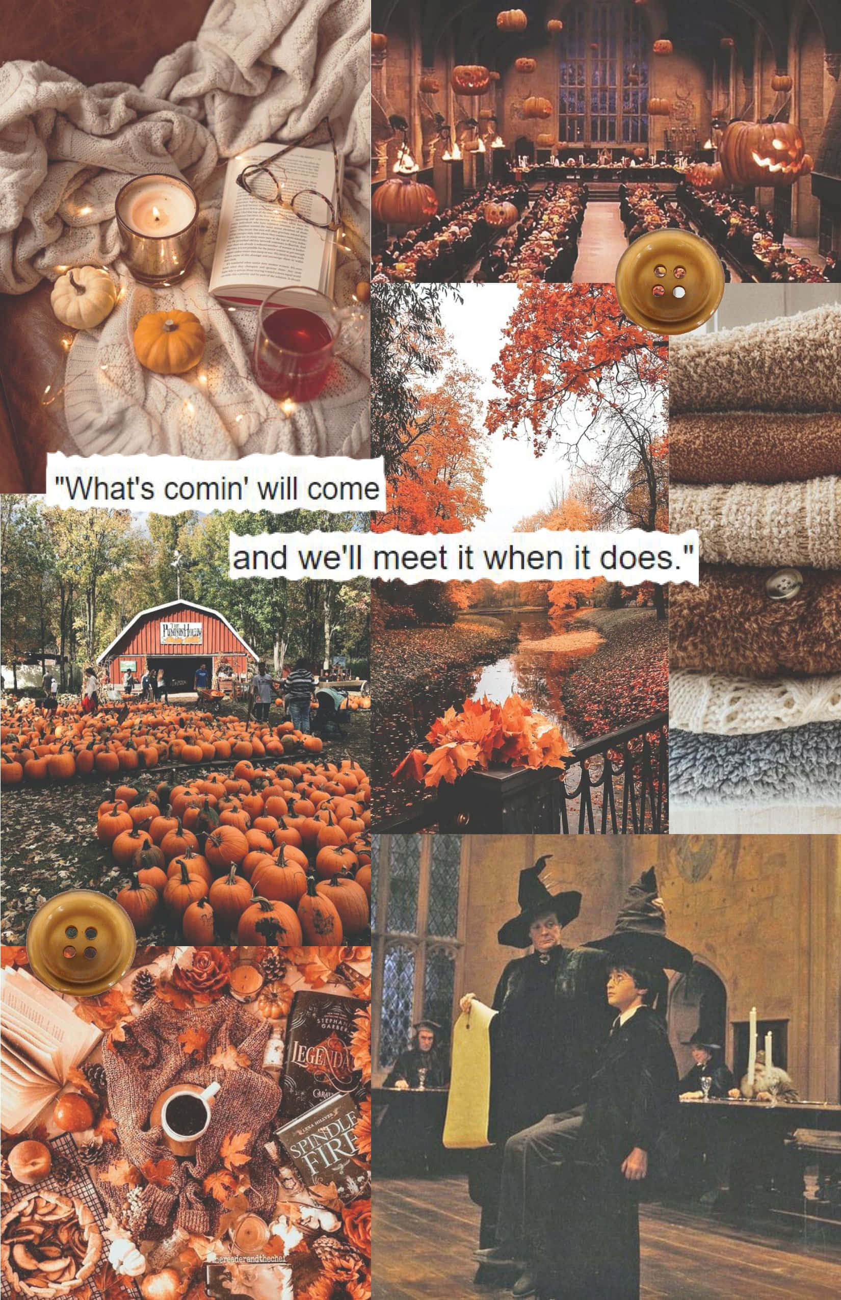 Harry Potter Halloween 桌布 壁紙 — 一個舒適的秋季拼貼畫， featuring 南瓜、溫暖的毯子和哈利波特教室場景。