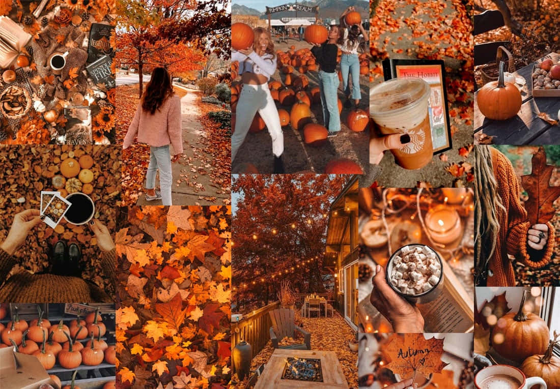 Cute Autumn 桌布 壁紙 — 一個舒適的秋季拼貼畫， featuring 南瓜、落葉、熱飲和享受季節時刻的人們。