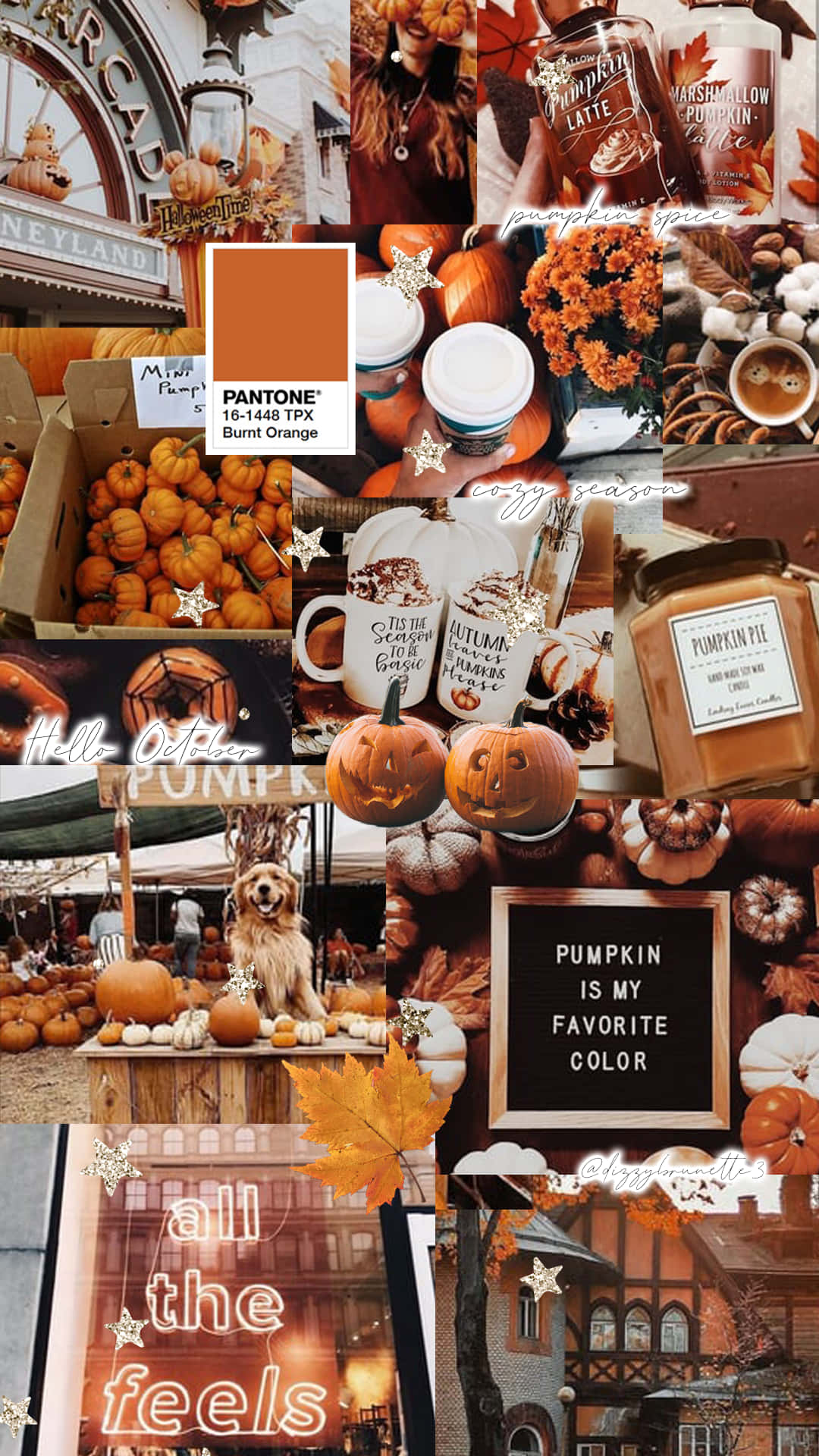 Cute Autumn 桌布 壁紙 — 一個舒適的秋季拼貼畫，以南瓜、南瓜拿鐵和秋季裝飾為特色，採用溫暖的燒焦橙色色調。