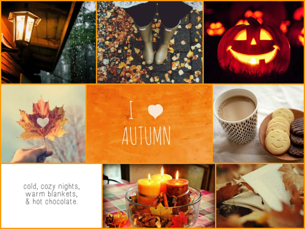 Autumn Collage 桌布 壁紙 — 一個舒適的秋季拼貼畫，以南瓜、蠟燭、樹葉場景和熱飲為特色，喚起季節性的舒適感。
