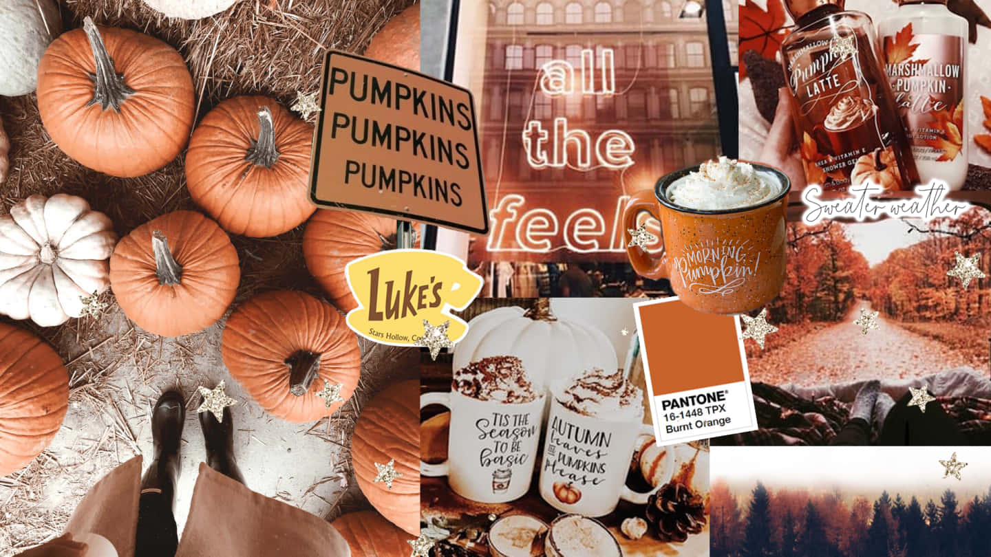 Autumn Collage 桌布 壁紙 — 一個舒適的秋季拼貼畫，以南瓜、馬克杯和秋季主題產品為特色，採用溫暖的焦橙色調。