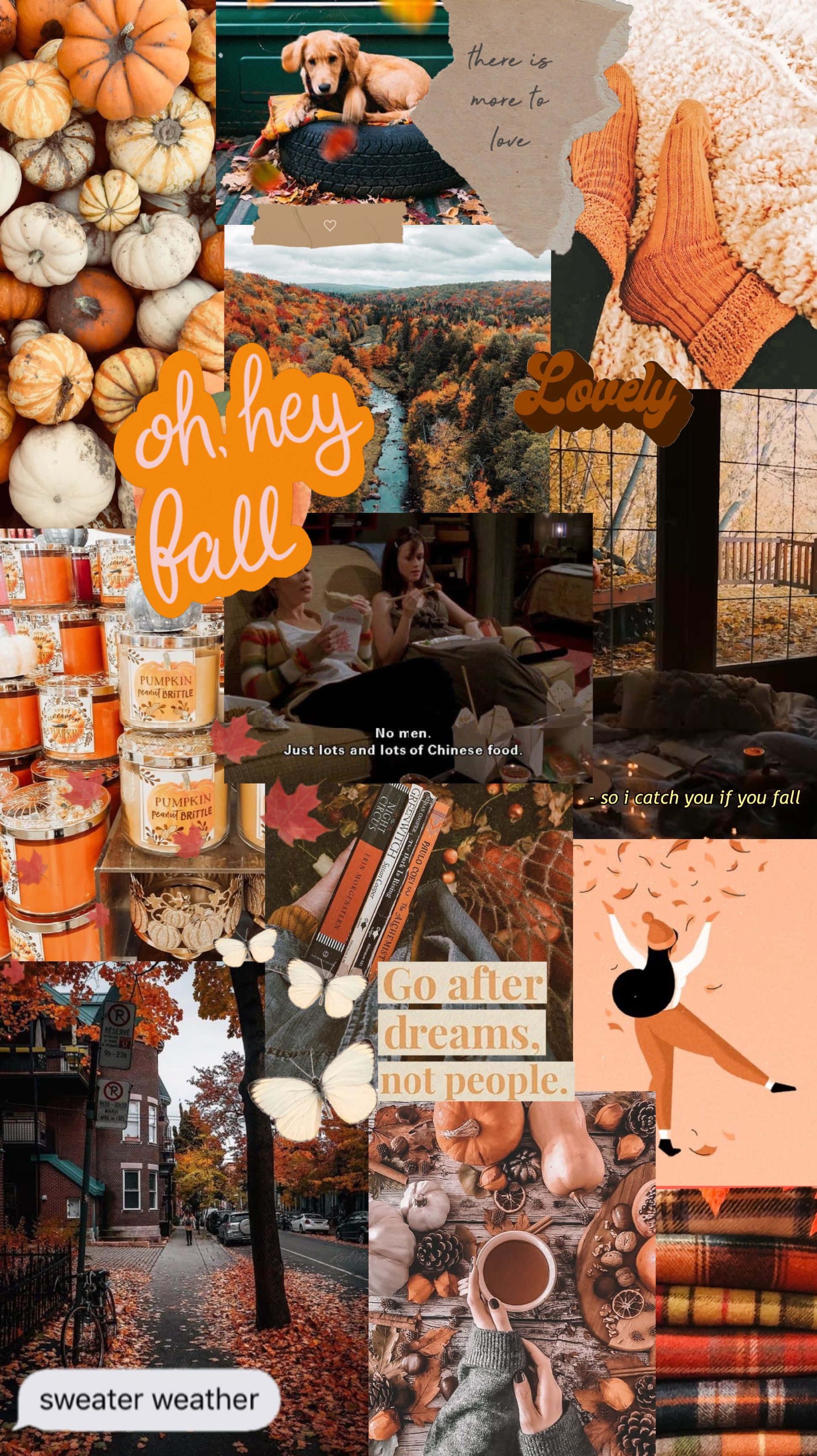 Cute Autumn 桌布 壁紙 — 一個舒適的秋季拼貼畫，包含南瓜、毛衣、落葉和溫暖的室內場景，並帶有勵志名言。