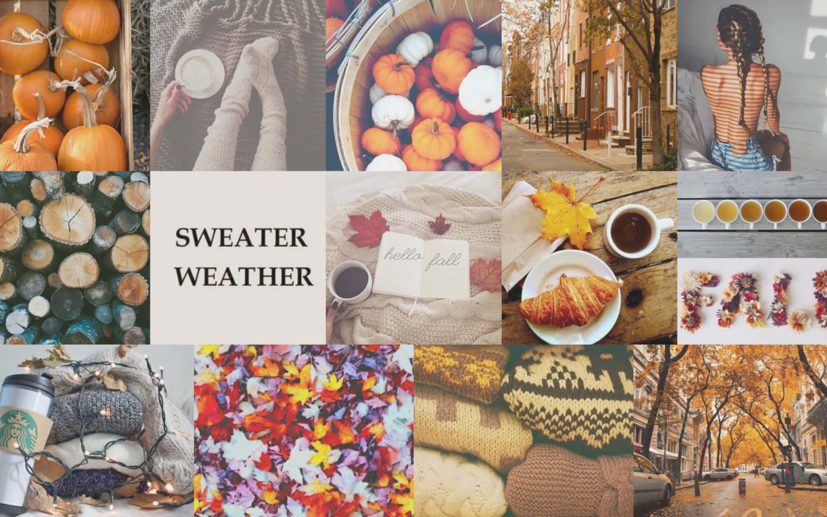 Autumn Collage 桌布 壁紙 — 一個舒適的秋季拼貼畫，包含南瓜、針織品、咖啡和落葉，喚起毛衣天氣。