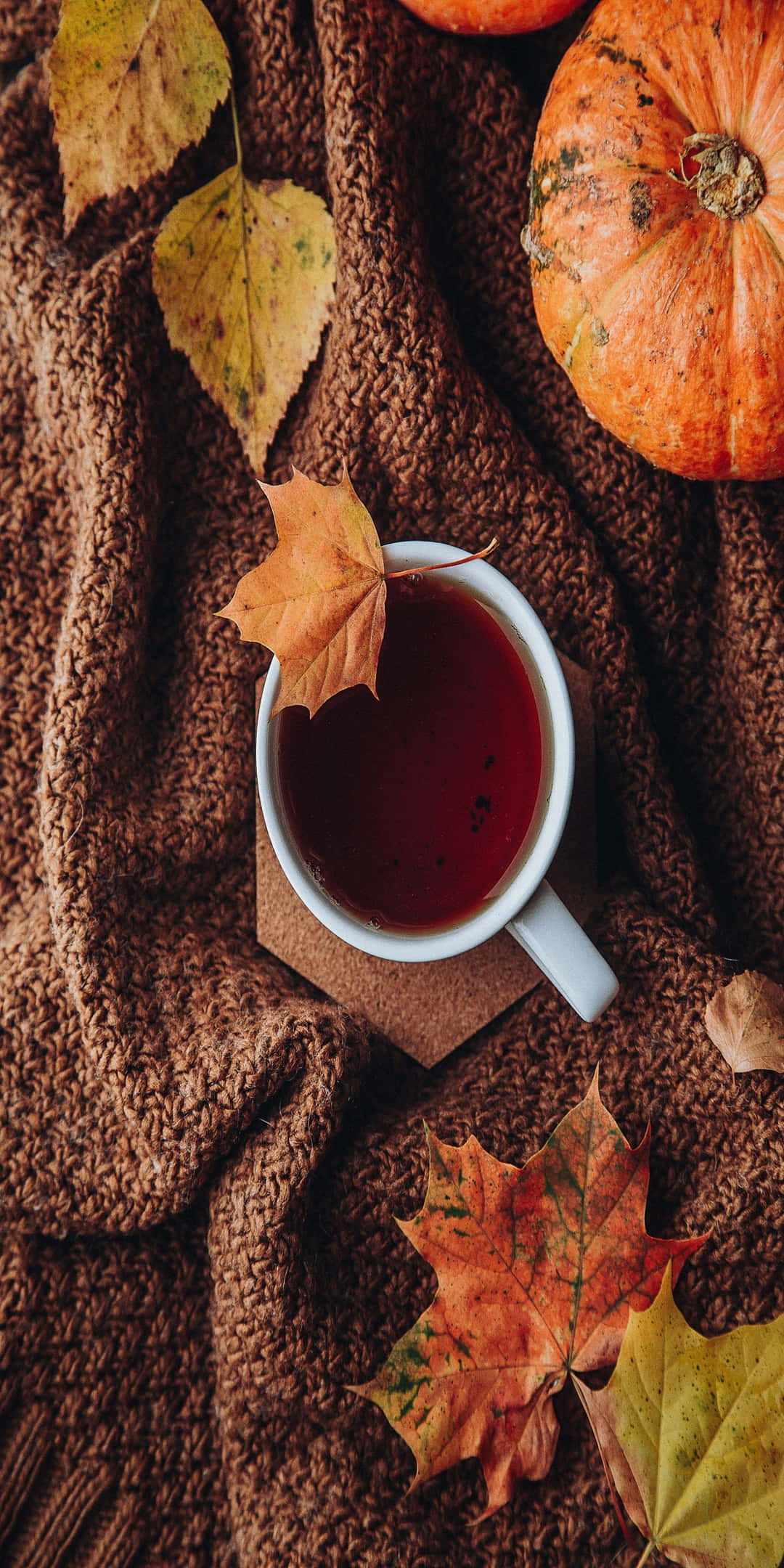 Pixel 3 Fall 桌布 壁紙 — 一個舒適的秋日場景，一杯冒著熱氣的茶放在有紋理的棕色毯子上，旁邊有南瓜和鮮豔的落葉。