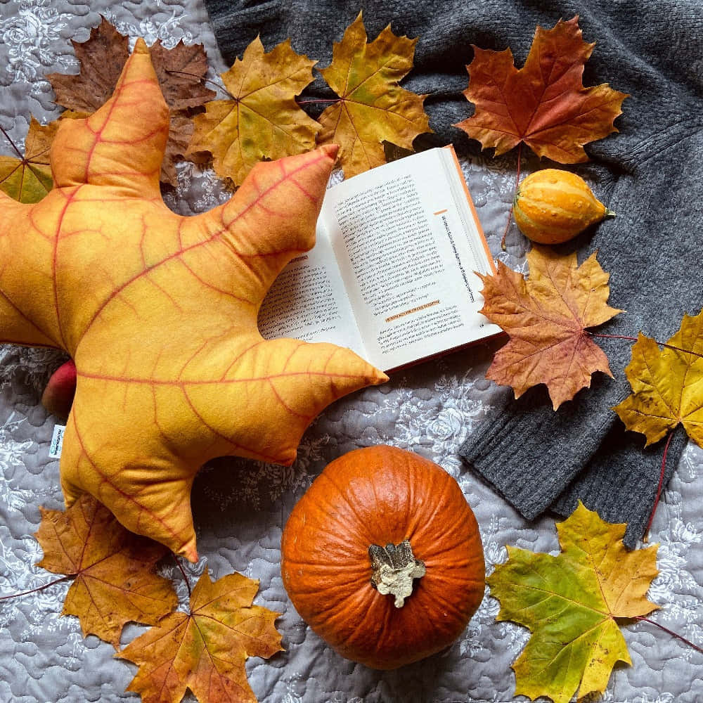 Autumn Fall 桌布 壁紙 — 一個舒適的秋日場景，有葉子形狀的枕頭、南瓜、書本和散落在紋理灰色毯子上的楓葉。
