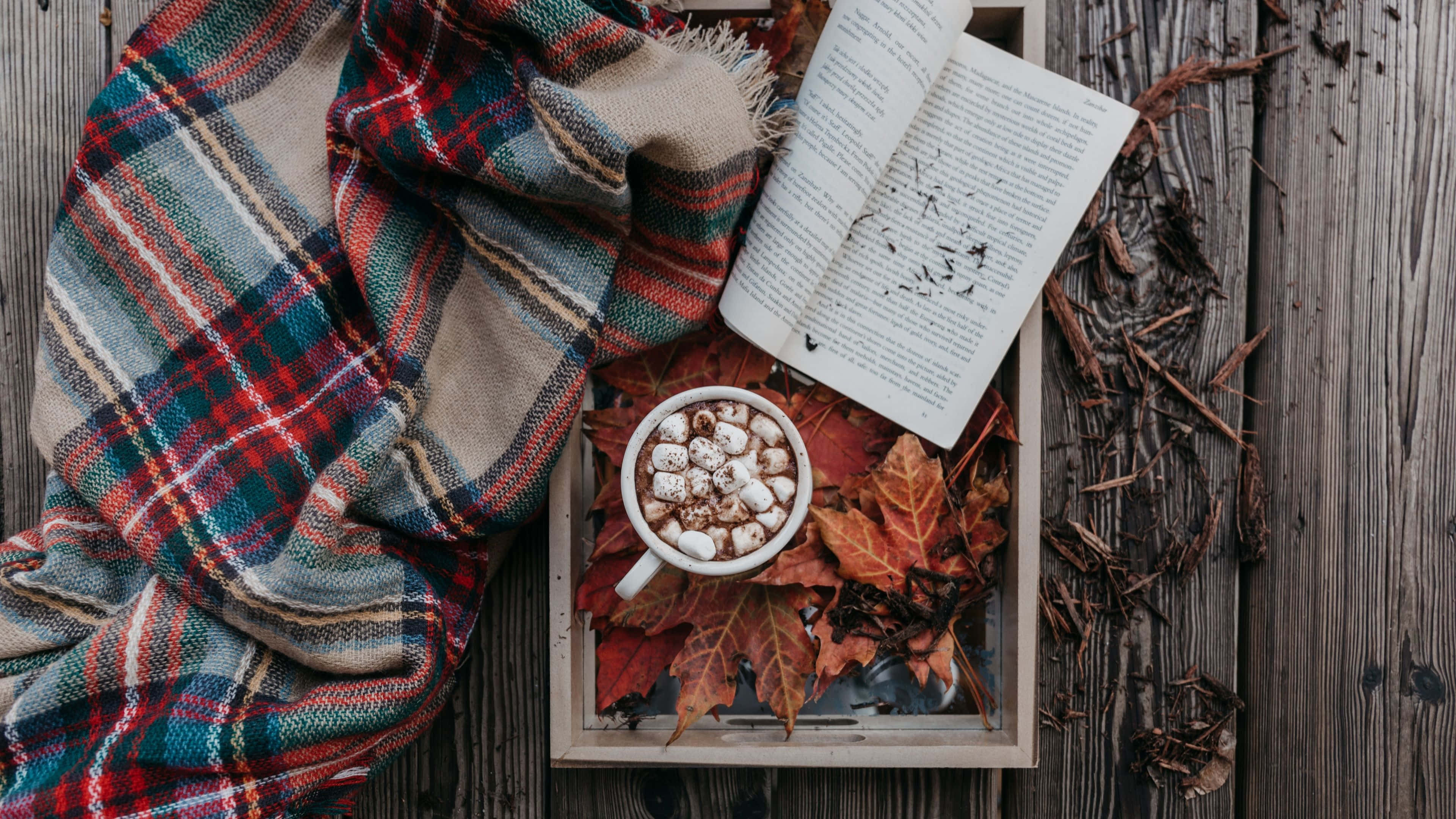 Autumn Season 桌布 壁紙 — 一個舒適的秋日場景，木托盤上鋪滿鮮紅的樹葉，其間放著一條格子毯、一本打開的書和一杯 topped with 棉花糖的熱可可。