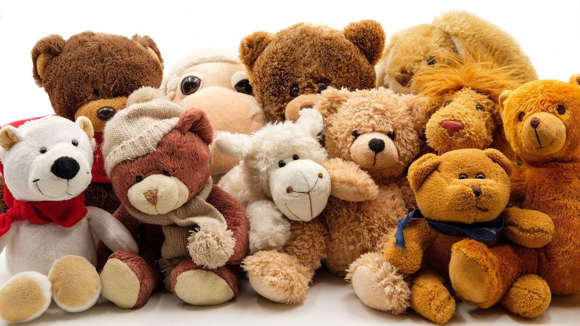 Teddy Bear 桌布 壁紙 — 一個舒適的簇群，包含各種毛絨玩具，包括熊、獅子和一隻羊，擠在一起，背景為白色。