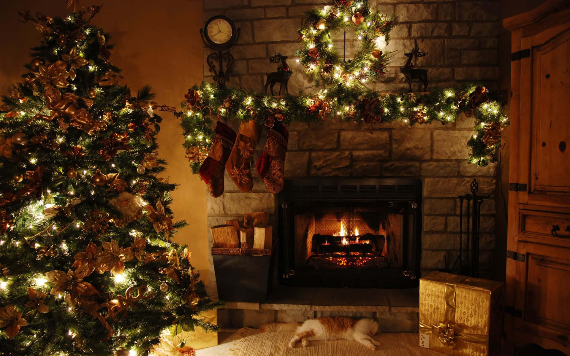 a christmas story 桌布 壁紙 — 一個舒適的聖誕場景，有燃燒的壁爐、裝飾好的聖誕樹和睡著的貓，沐浴在溫暖的金色光芒中。
