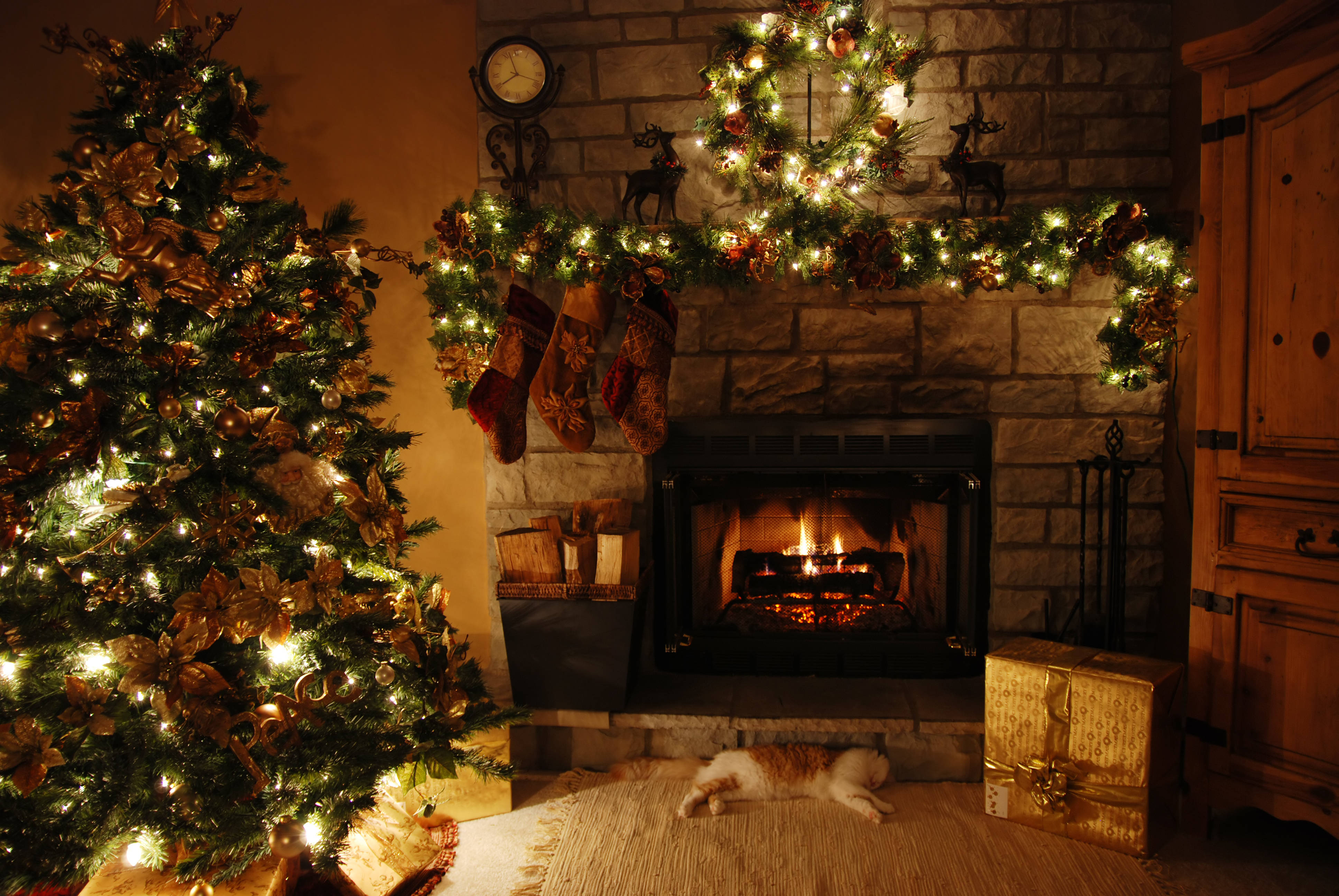 merry christmas family 桌布 壁紙 — 一個舒適的聖誕場景，有燃燒的壁爐、裝飾好的聖誕樹，還有一隻貓咪在地毯上安詳地睡覺。