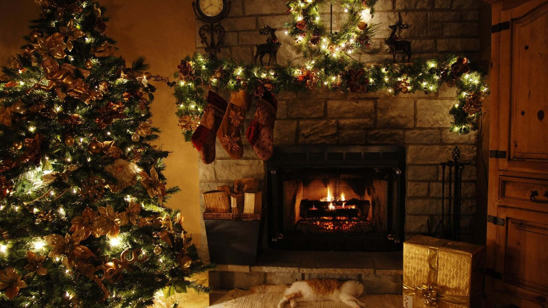 Christmas Lights Desktop 桌布 壁紙 — 一個舒適的聖誕場景，有燃燒的壁爐、裝飾好的聖誕樹和睡著的貓，在溫暖的金色光線中。