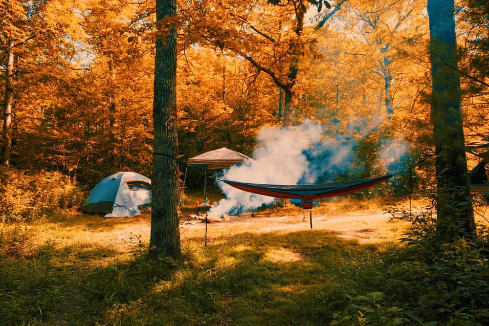 Fall Camping 桌布 壁紙 — 一個舒適的露營地，隱藏在秋日樹林中，吊床在冒煙的營火上方搖擺，附近還有一個帳篷。