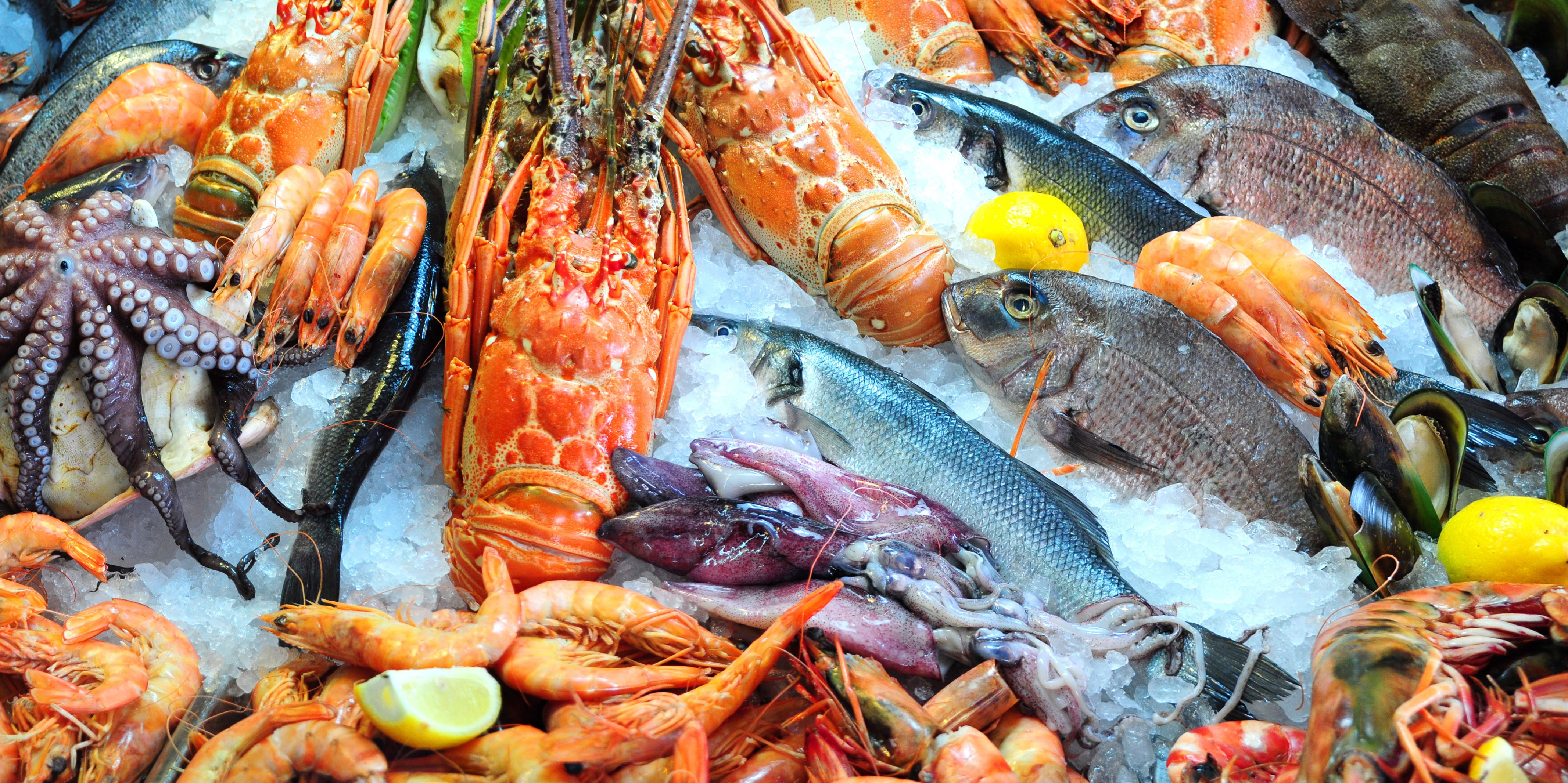 Seafood 桌布 壁紙 — 一個色彩繽紛的海鮮展示，包括龍蝦、蝦、章魚和魚，排列在碎冰上，配上檸檬角。