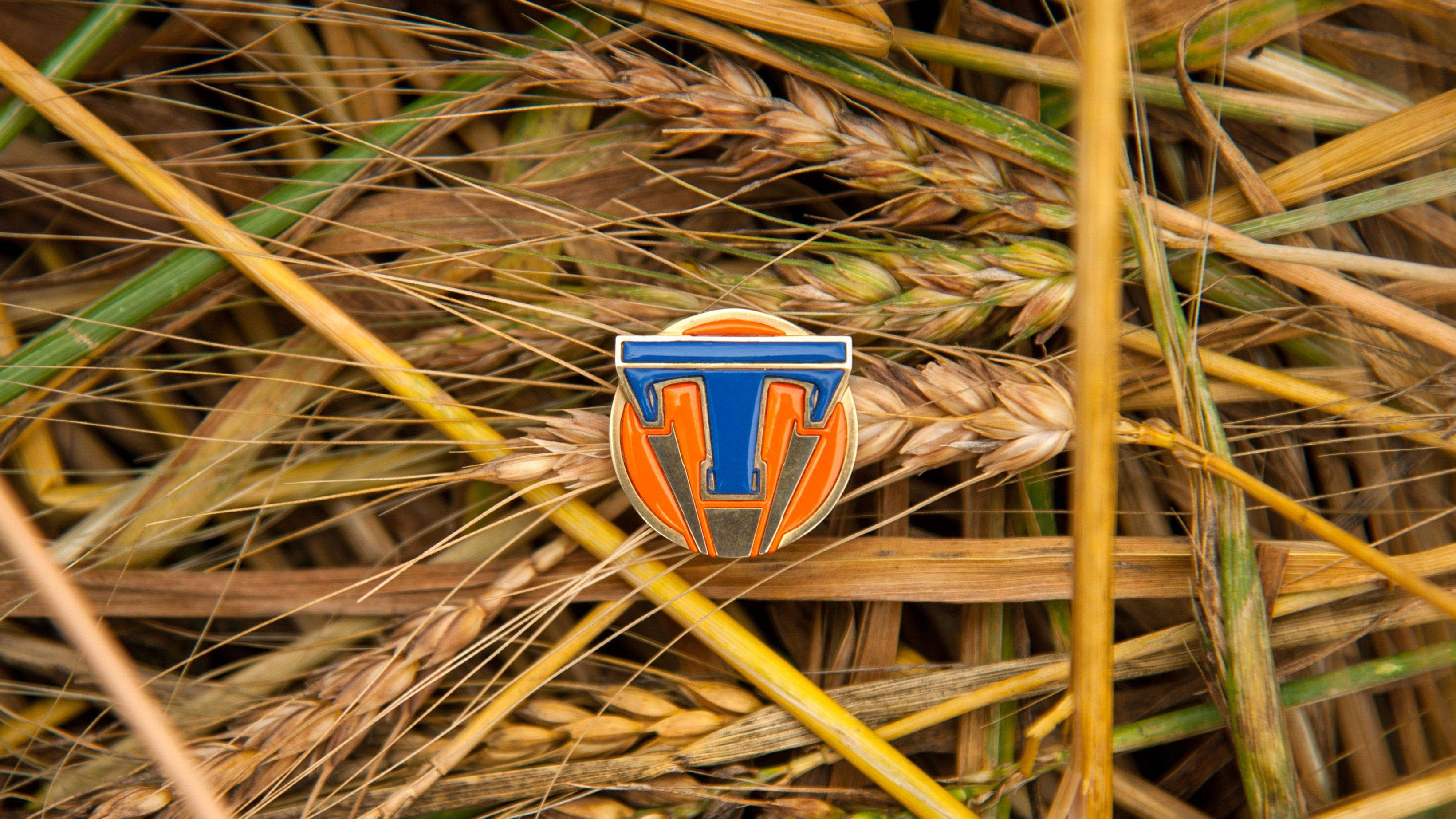 Tomorrowland Movie 桌布 壁紙 — 一個色彩繽紛的琺瑯別針，帶有藍色和橙色的「T」標誌，特寫鏡頭下躺在金色麥穗中。