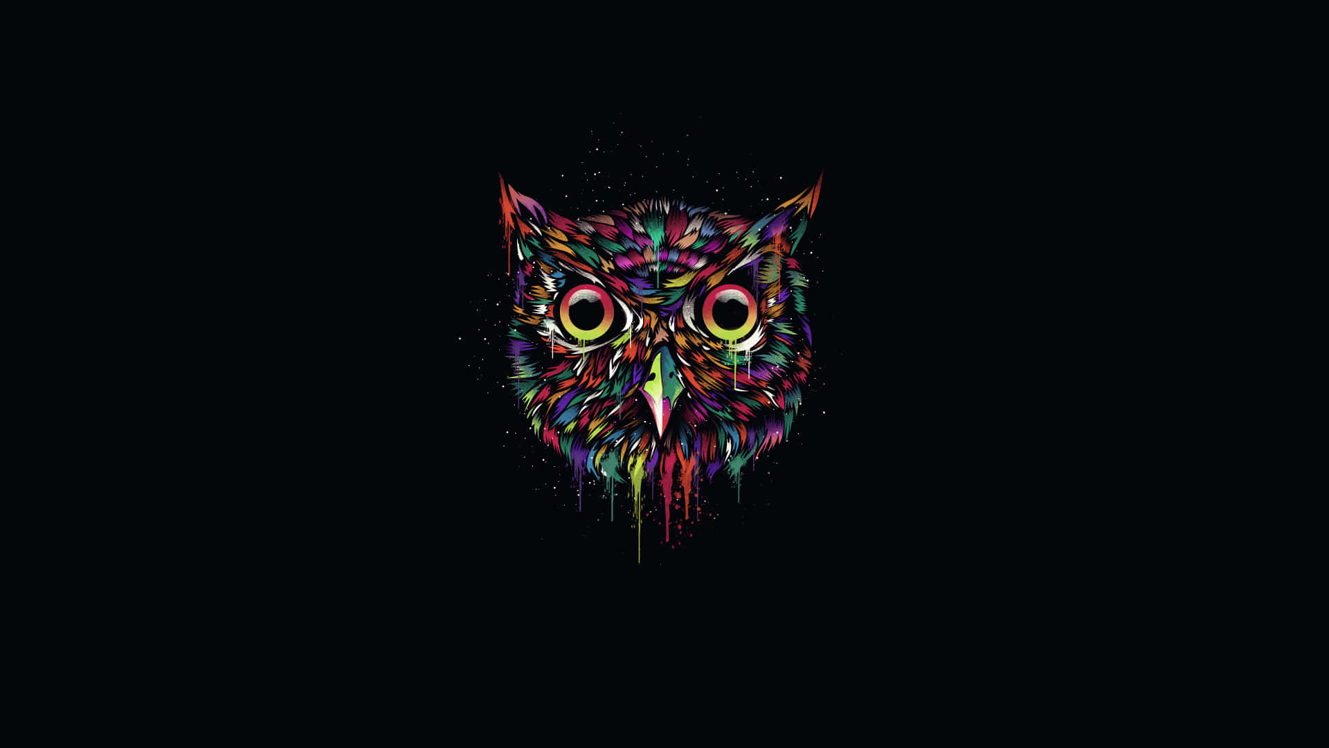 Ovoxo 桌布 壁紙 — 一個色彩繽紛的貓頭鷹頭部，帶有滴漆效果，在純黑色背景上強烈凝視。