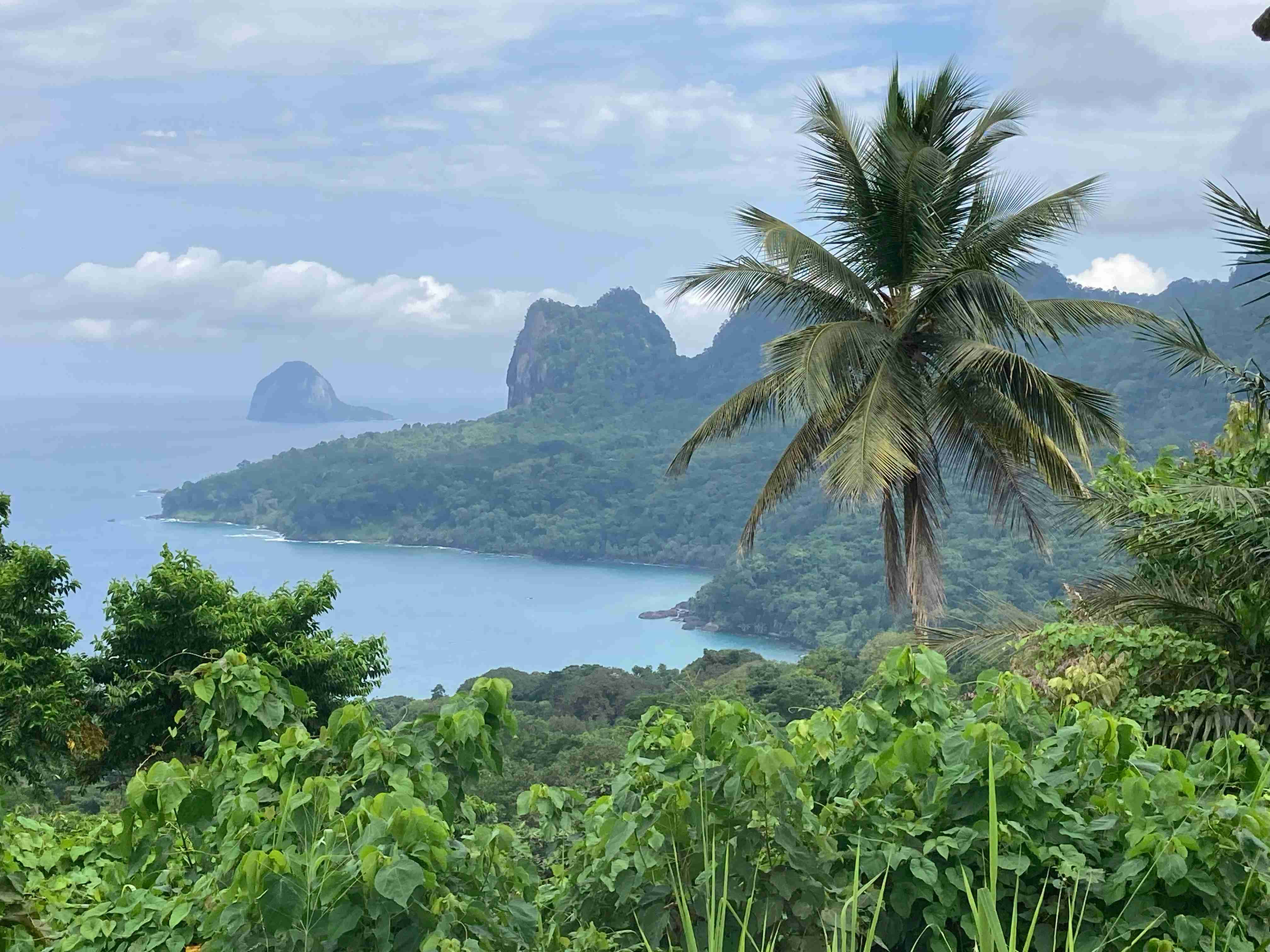 島嶼 桌布 壁紙 — 一個茂密的熱帶景色，以棕櫚樹為框，俯瞰著碧綠的海灣，有森林覆蓋的島嶼和遠處的岩石山峰，天空部分多雲。