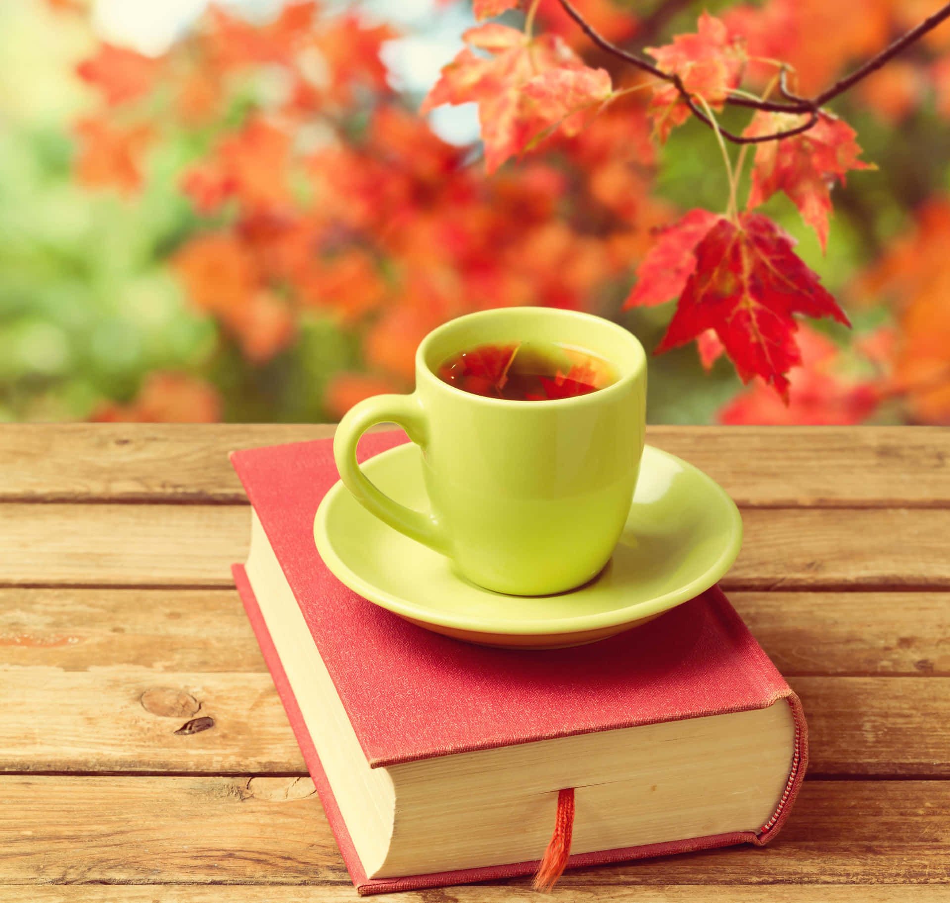 咖啡動圖 桌布 壁紙 — 一個萊姆綠色的茶杯放在木桌上的一本紅書上，背景有鮮豔的秋葉，呈現柔和焦點。
