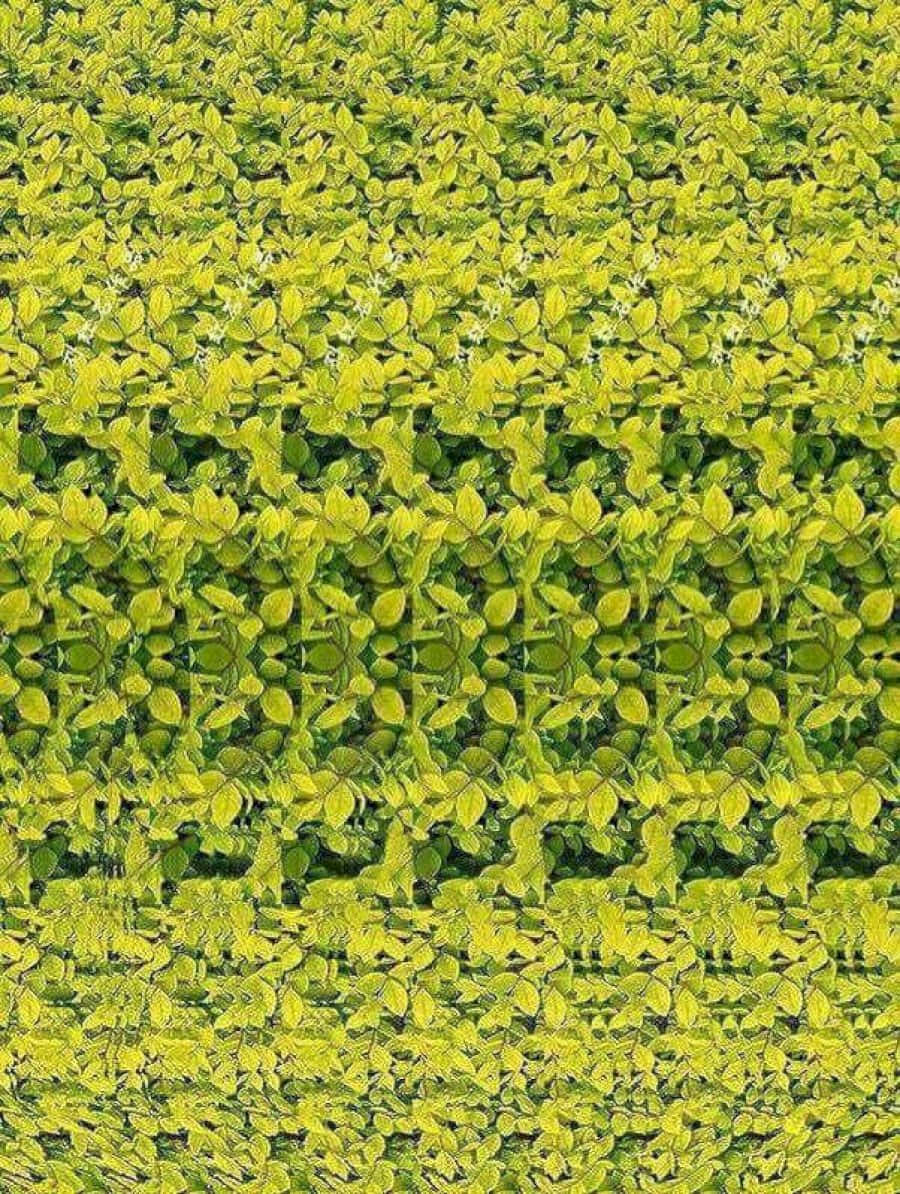 Hidden 3d 桌布 壁紙 — 一個萬花筒般的圖案，由鮮豔的綠色和黃色葉子排列成對稱、重複的幾何形狀。