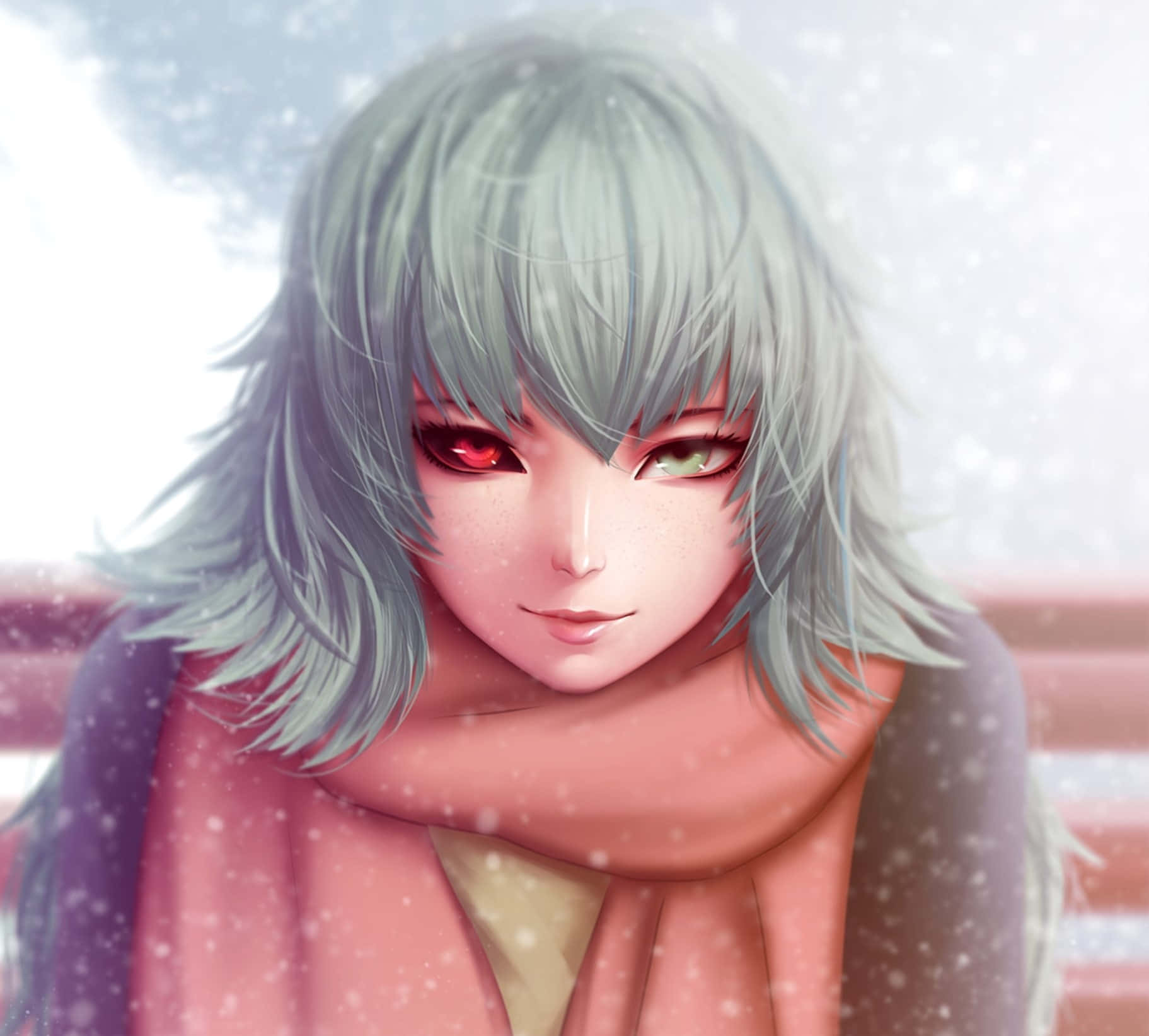 Eto Yoshimura 桌布 壁紙 — 一個蒼白的動漫女孩，銀色頭髮，紅綠異色瞳，在雪景背景下戴著粉紅色圍巾。