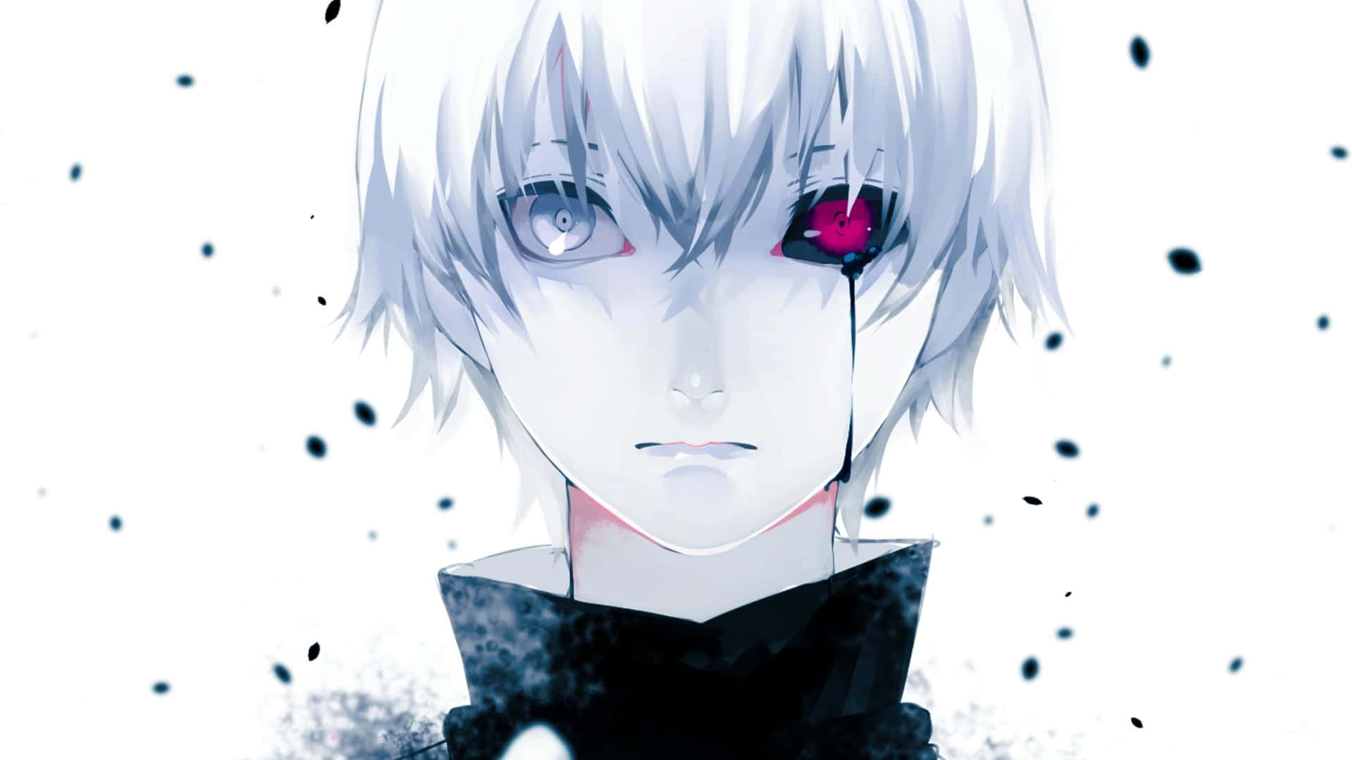 東京喰種桌面 桌布 壁紙 — 一個蒼白的動漫男孩，白髮，一隻發光的紅眼睛，在帶有黑色斑點的純白背景上強烈凝視。